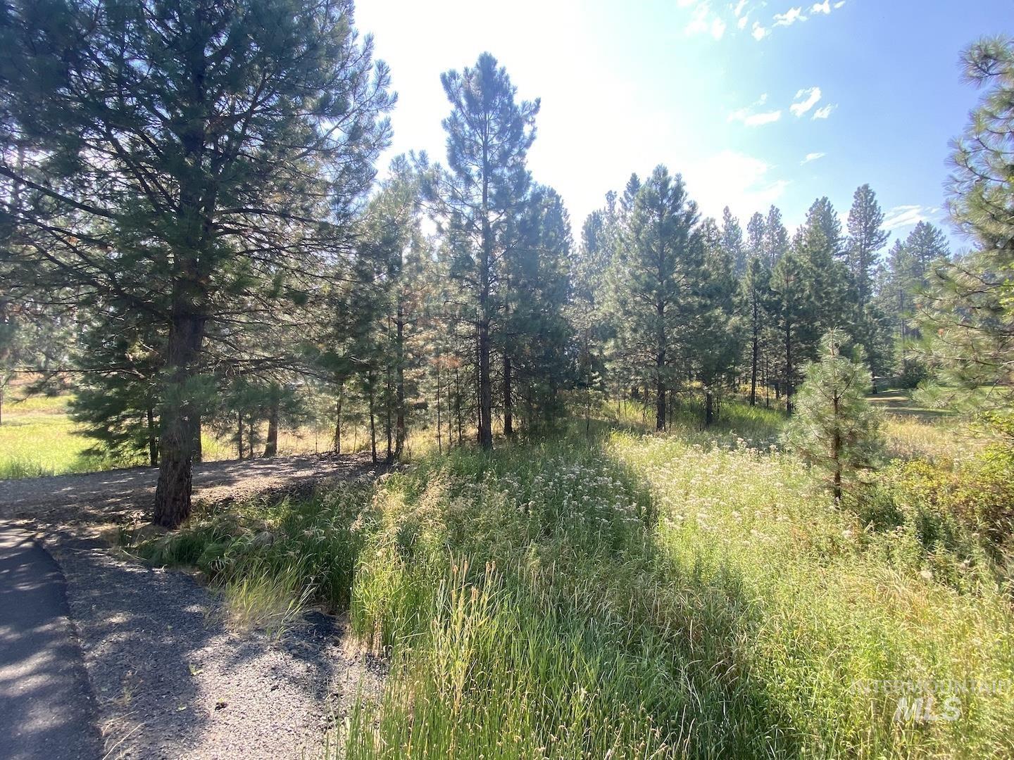 3955 Valley View Dr, New Meadows, Idaho 83654, Land For Sale, Price $99,500, 98945930