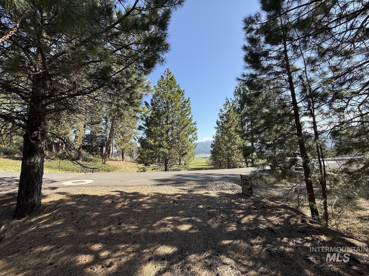 3955 Valley View Dr, New Meadows, Idaho 83654, Land For Sale, Price $99,500, 98945930