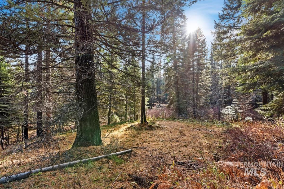 1715 Grouse Trail, Donnelly, Idaho 83615, Land For Sale, Price $170,000, 98945941