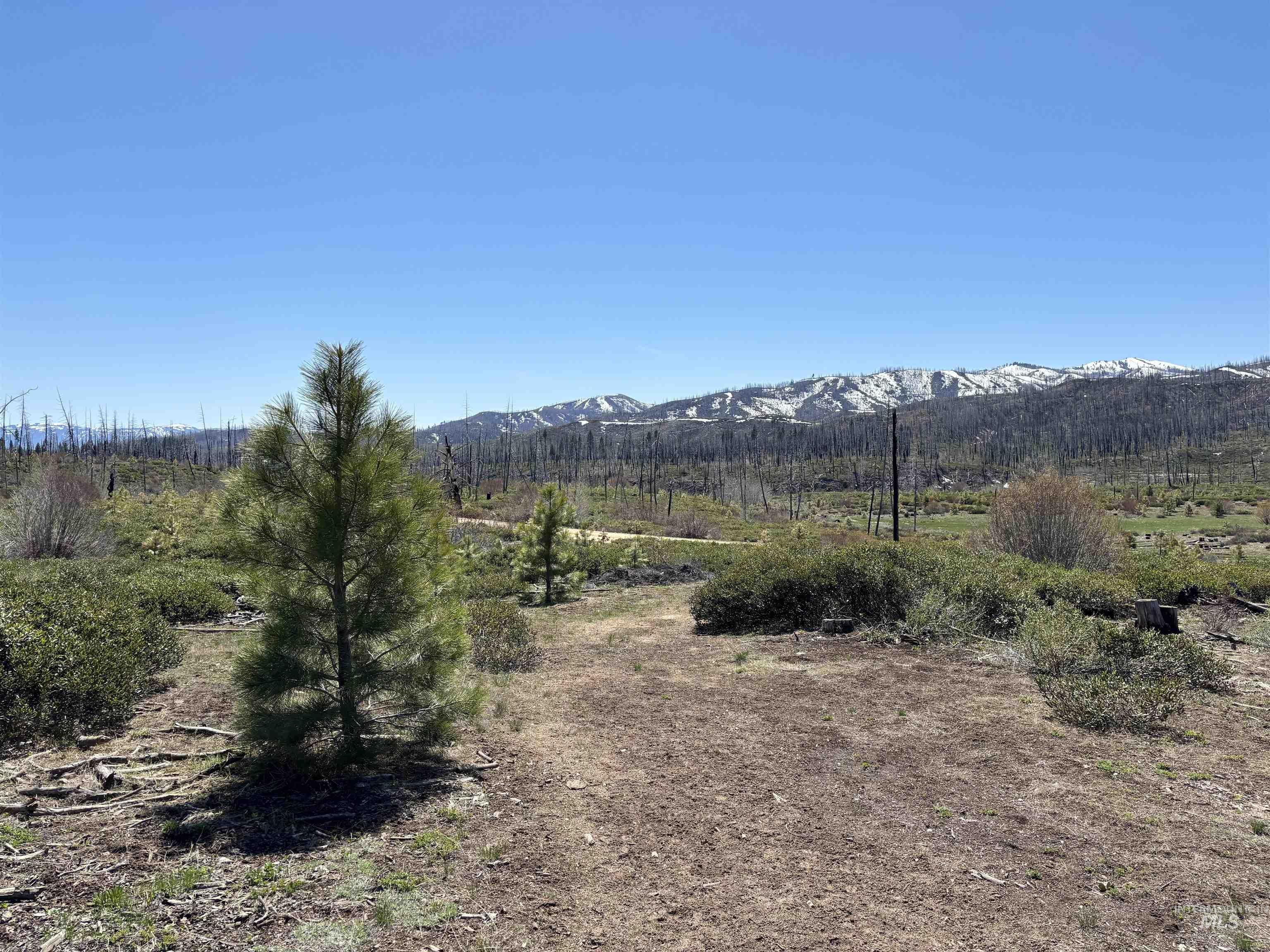 TBD Lester Creek Rd, Mountain Home, Idaho 83647, Land For Sale, Price $999,950, 98945953