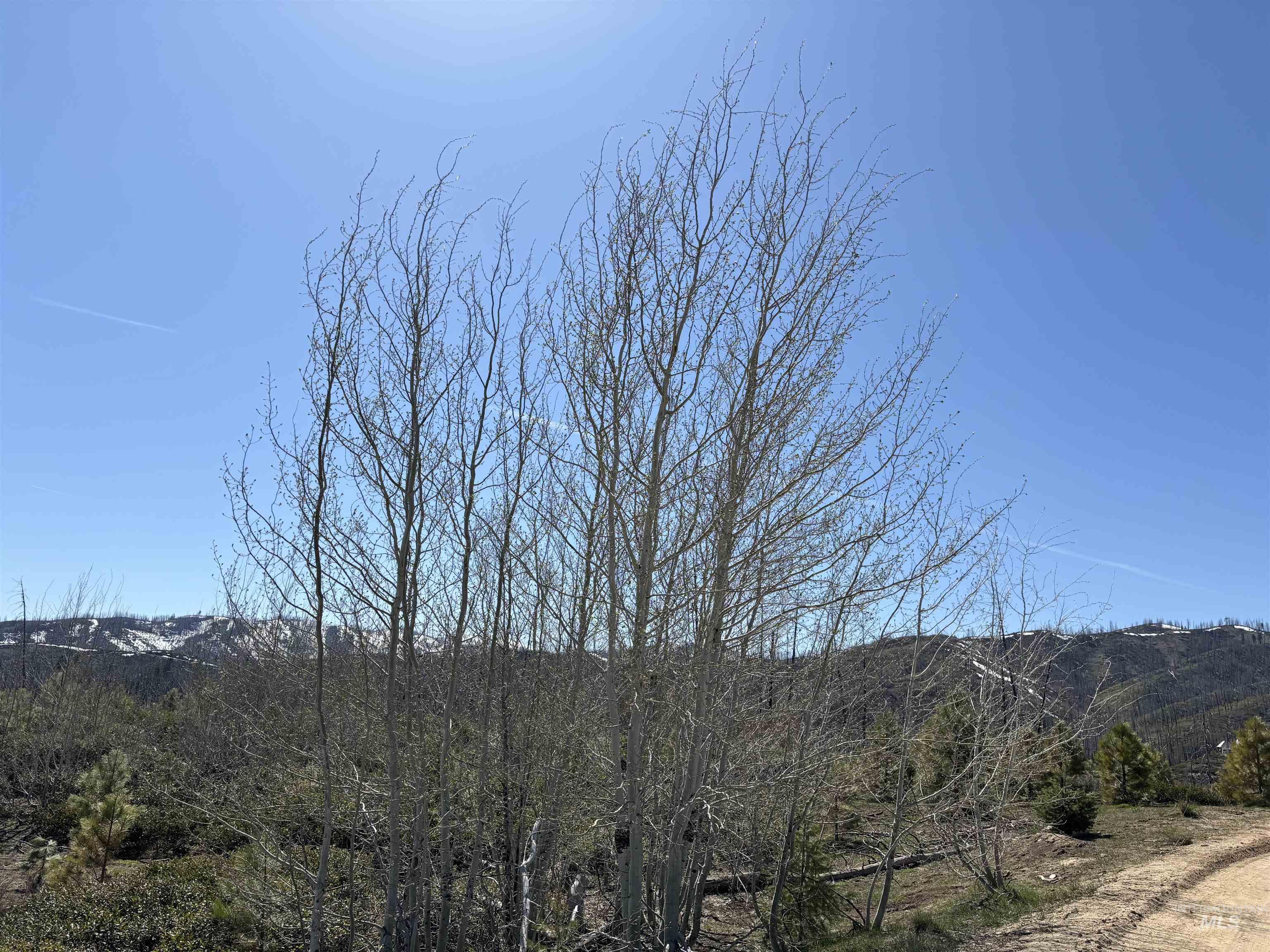 TBD Lester Creek Rd, Mountain Home, Idaho 83647, Land For Sale, Price $999,950, 98945953