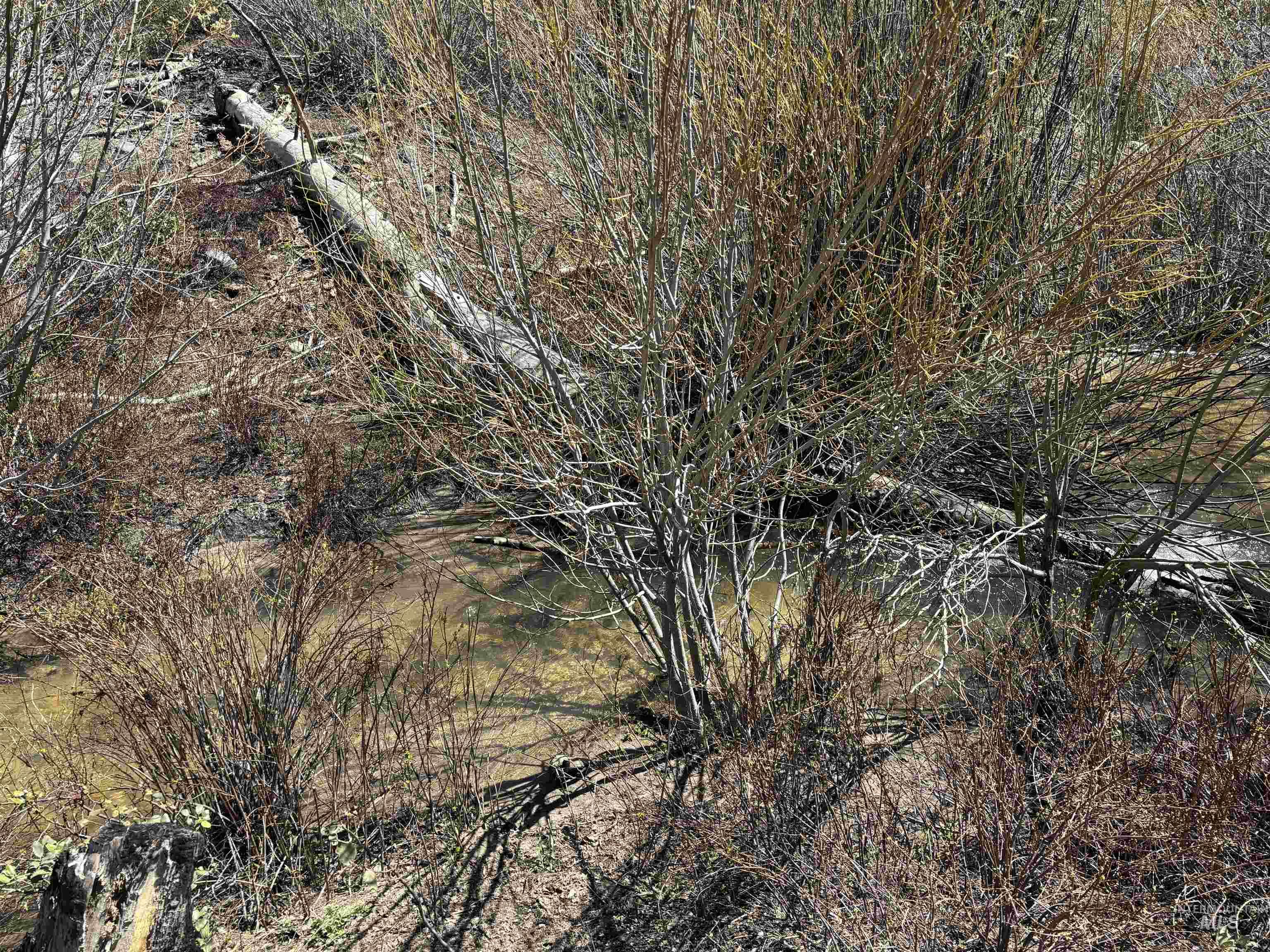 TBD Lester Creek Rd, Mountain Home, Idaho 83647, Land For Sale, Price $999,950, 98945953