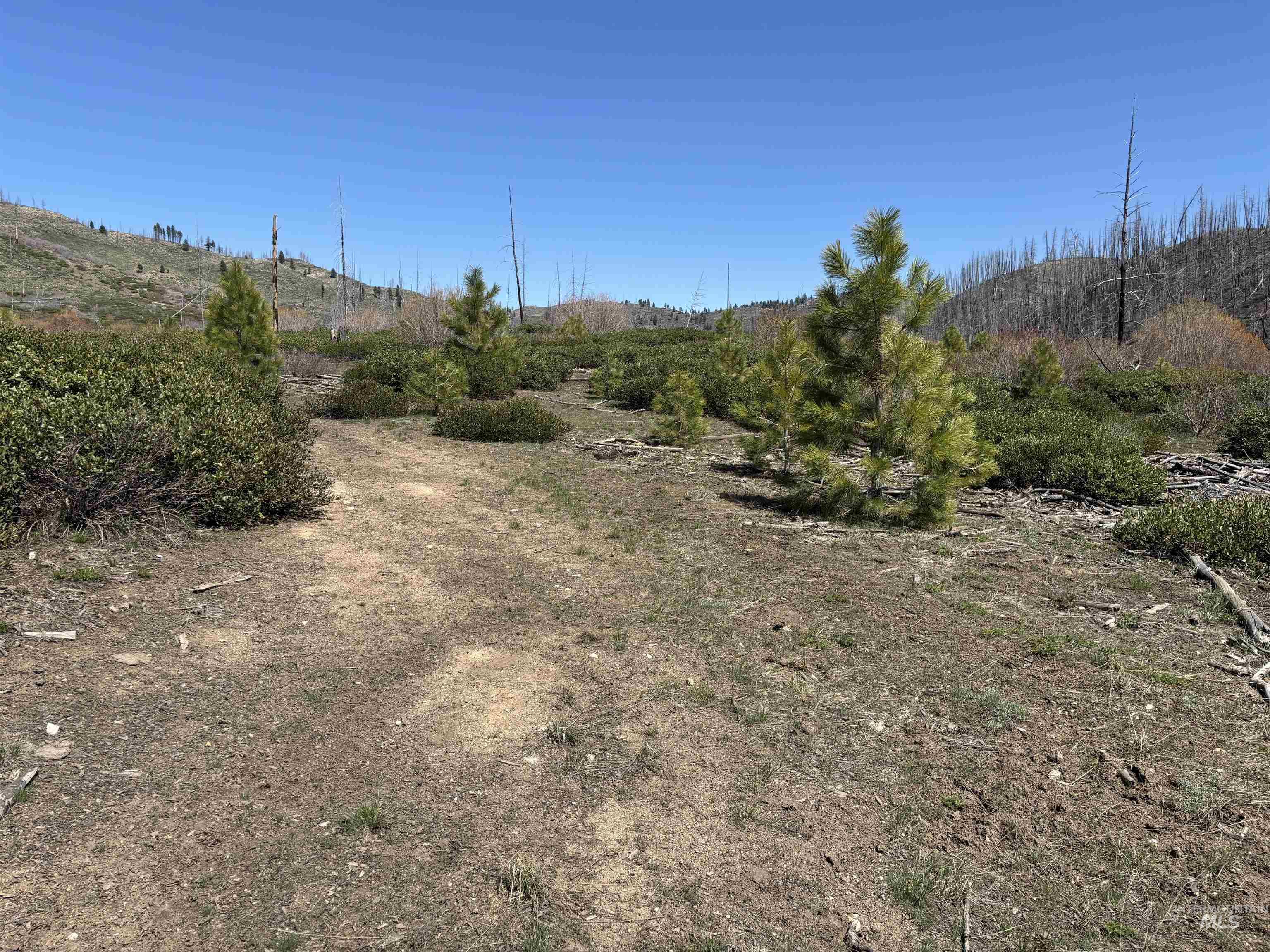 TBD Lester Creek Rd, Mountain Home, Idaho 83647, Land For Sale, Price $999,950, 98945953