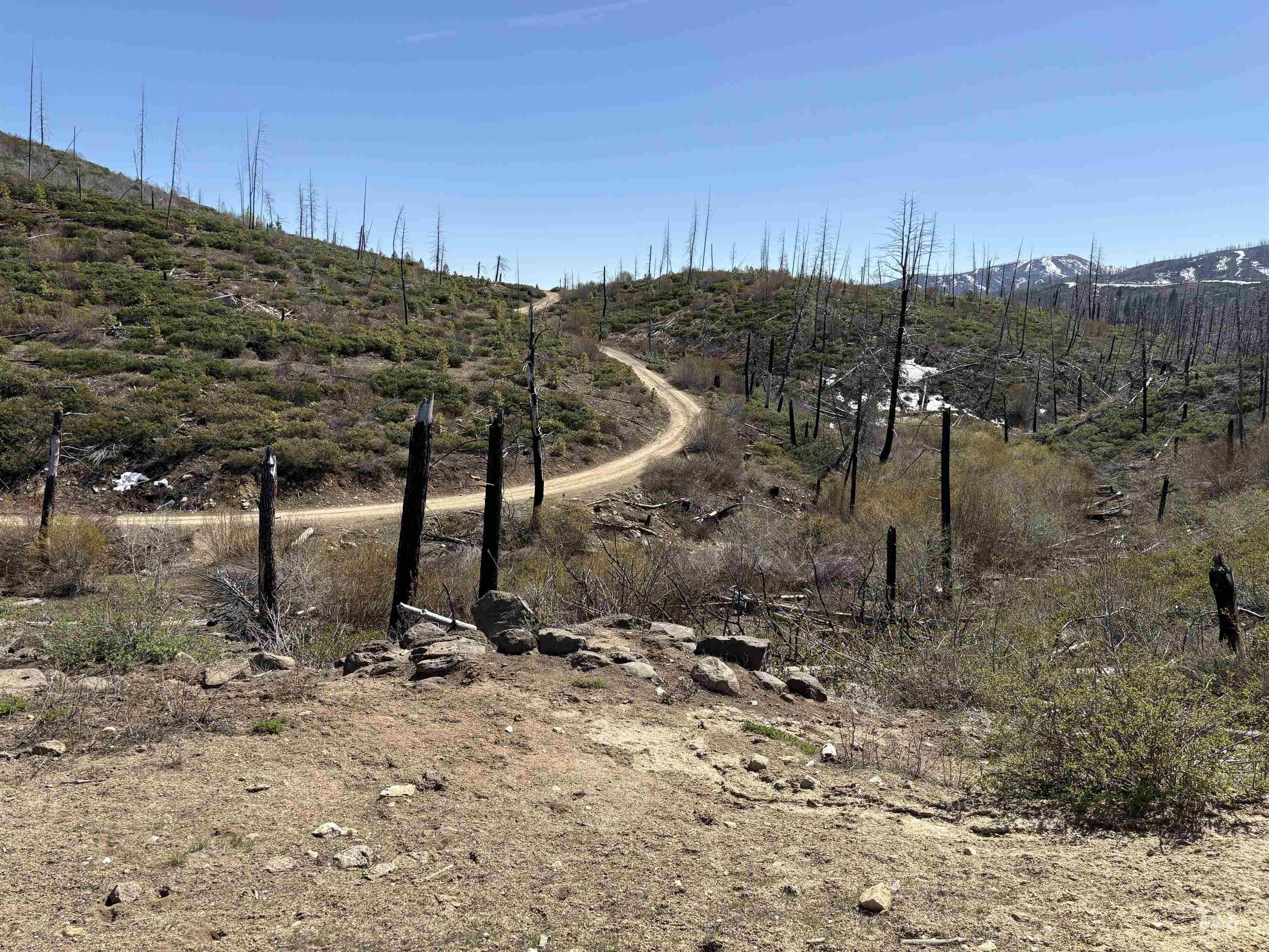 TBD Lester Creek Rd, Mountain Home, Idaho 83647, Land For Sale, Price $999,950, 98945953