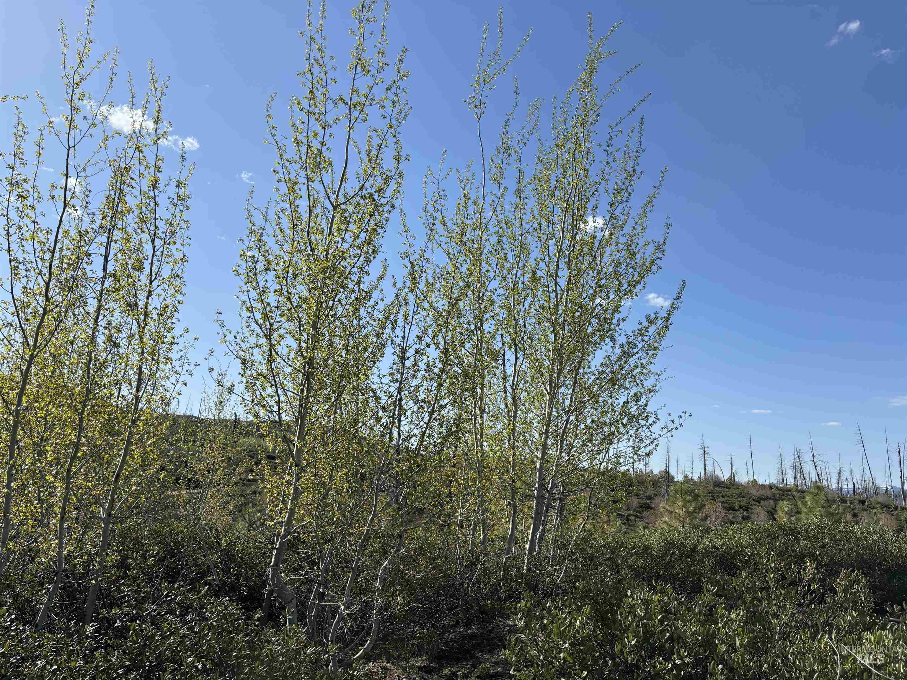 TBD Lester Creek Rd, Mountain Home, Idaho 83647, Land For Sale, Price $999,950, 98945953