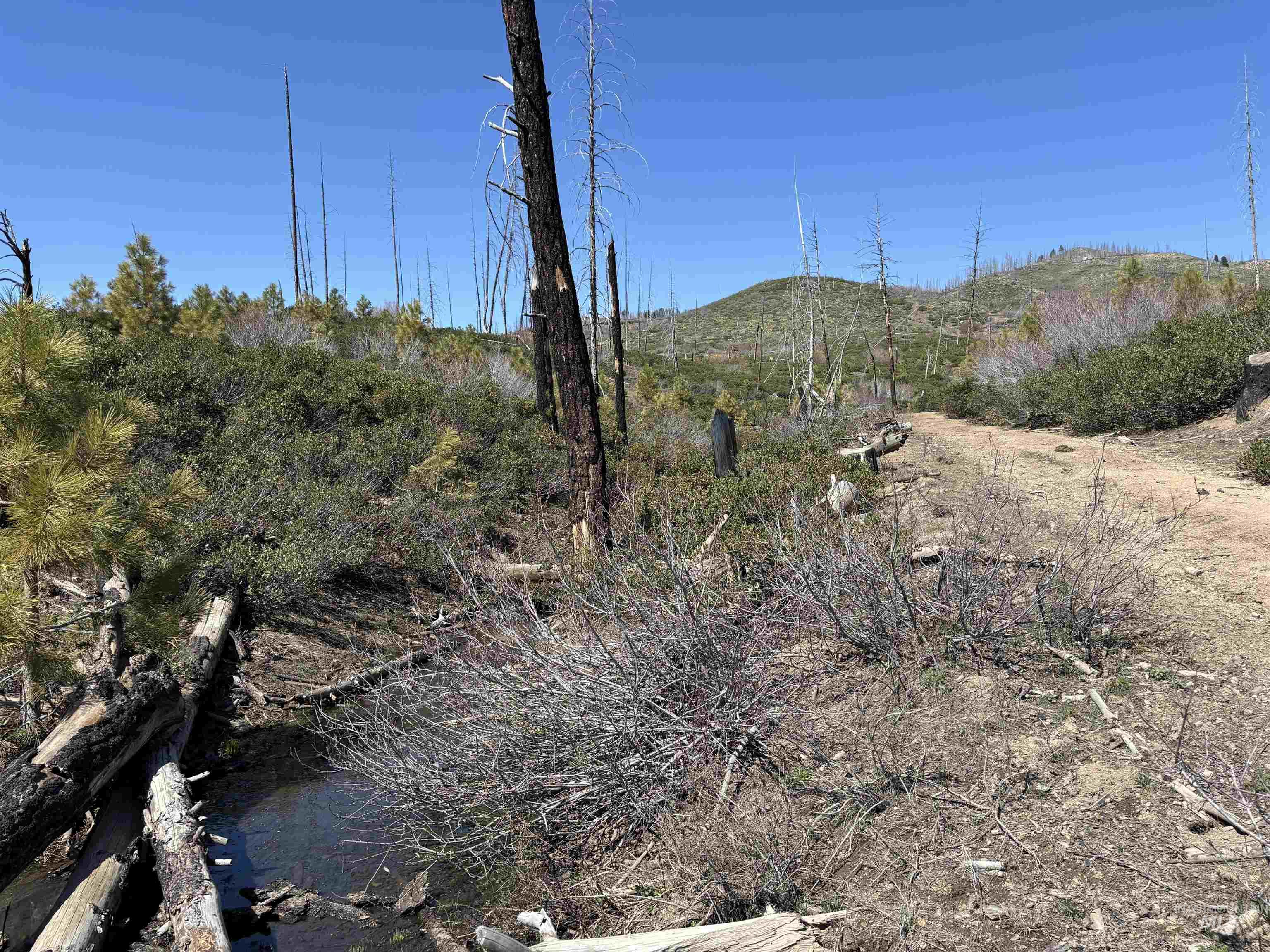 TBD Lester Creek Rd, Mountain Home, Idaho 83647, Land For Sale, Price $999,950, 98945953