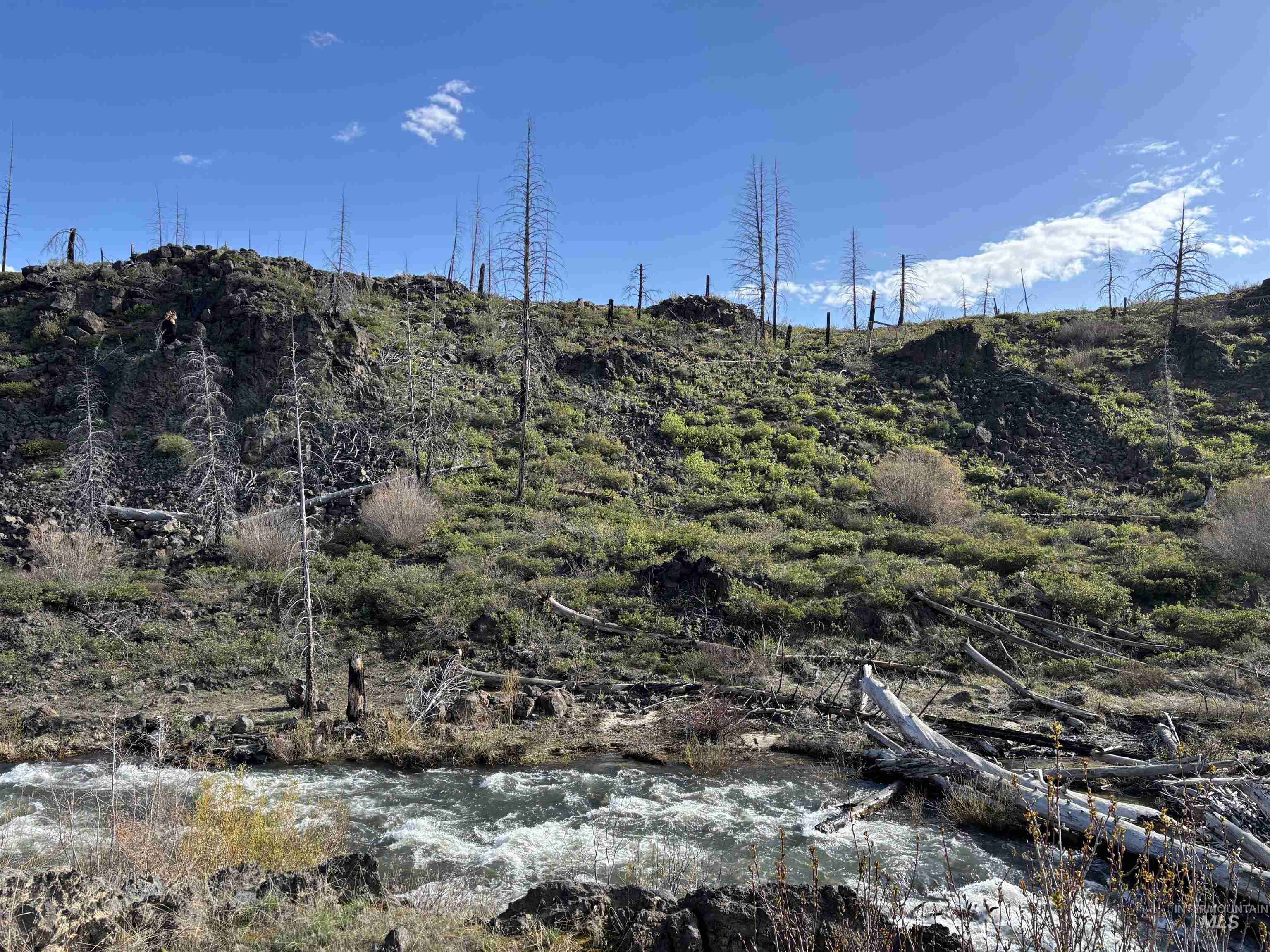 TBD Lester Creek Rd, Mountain Home, Idaho 83647, Land For Sale, Price $999,950, 98945953