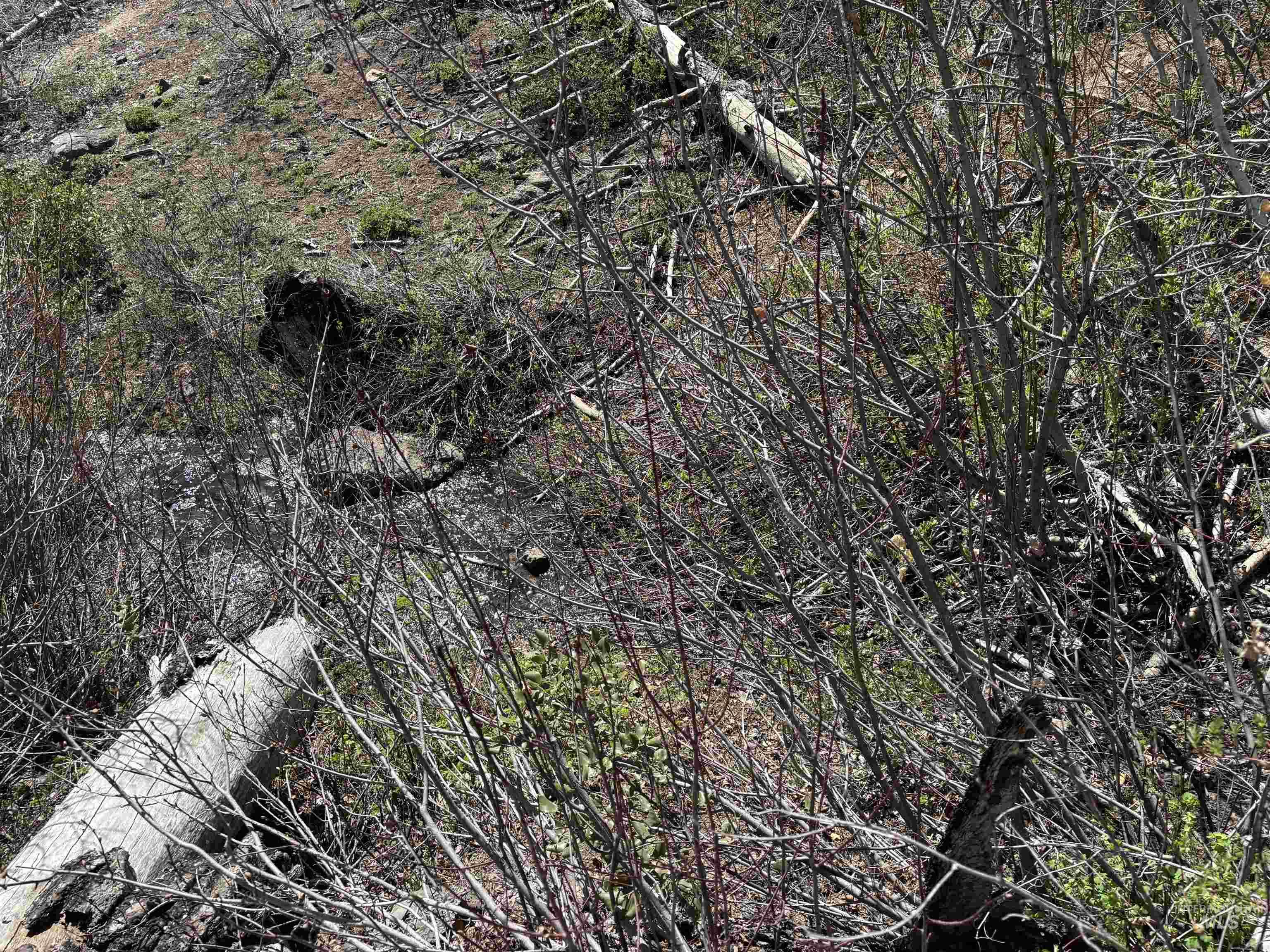 TBD Lester Creek Rd, Mountain Home, Idaho 83647, Land For Sale, Price $999,950, 98945953