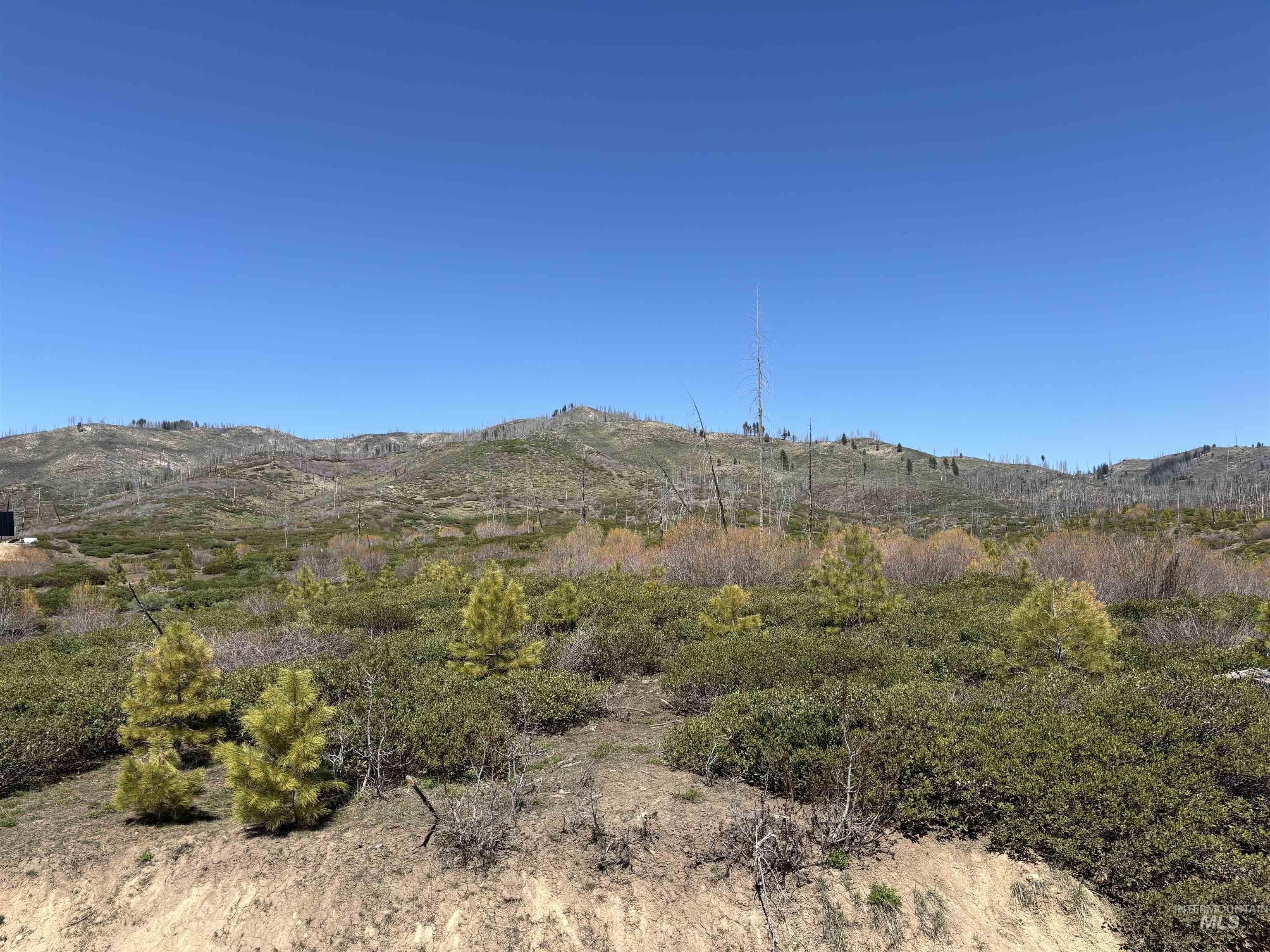 TBD Lester Creek Rd, Mountain Home, Idaho 83647, Land For Sale, Price $999,950, 98945953