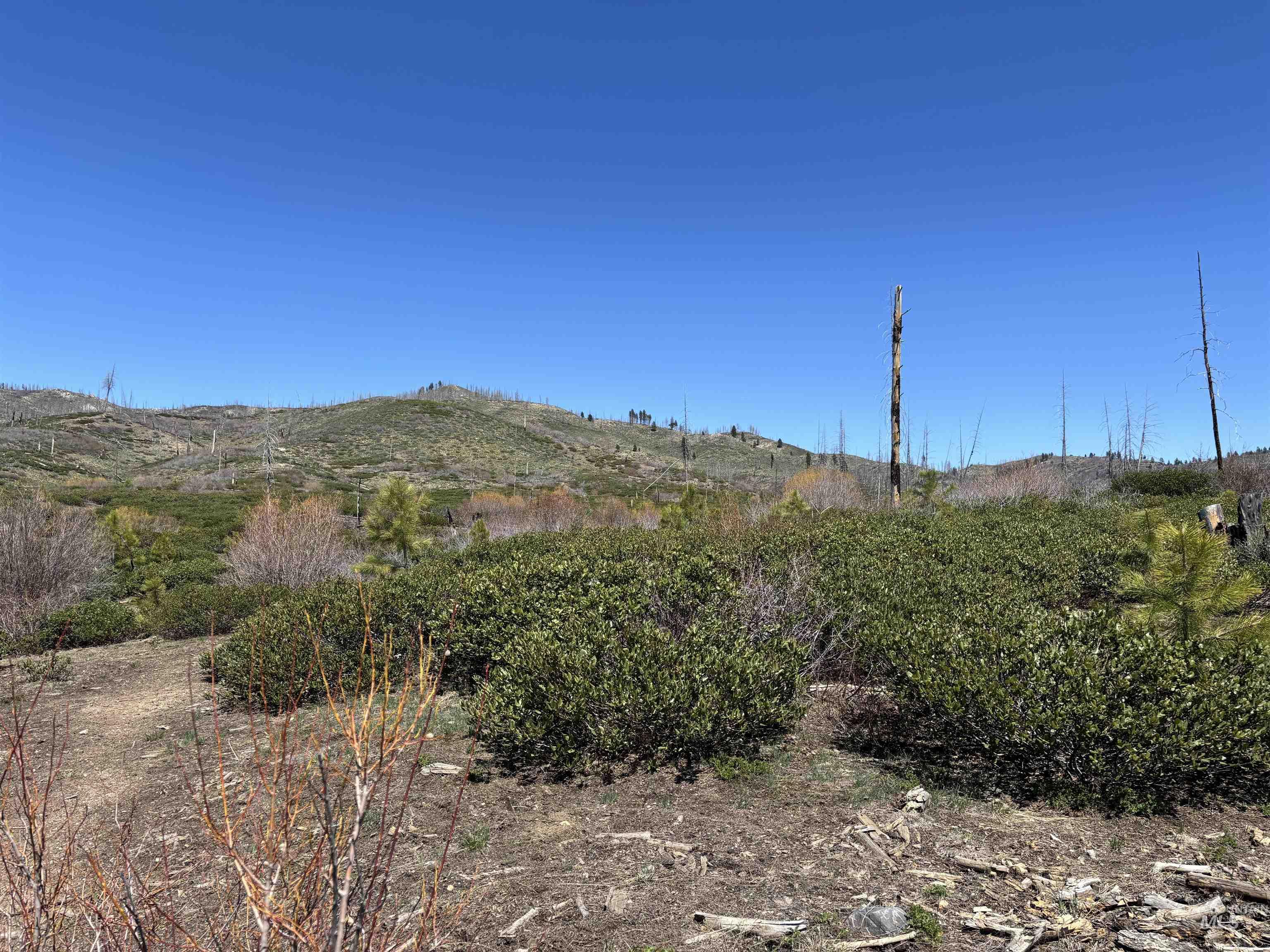 TBD Lester Creek Rd, Mountain Home, Idaho 83647, Land For Sale, Price $999,950, 98945954