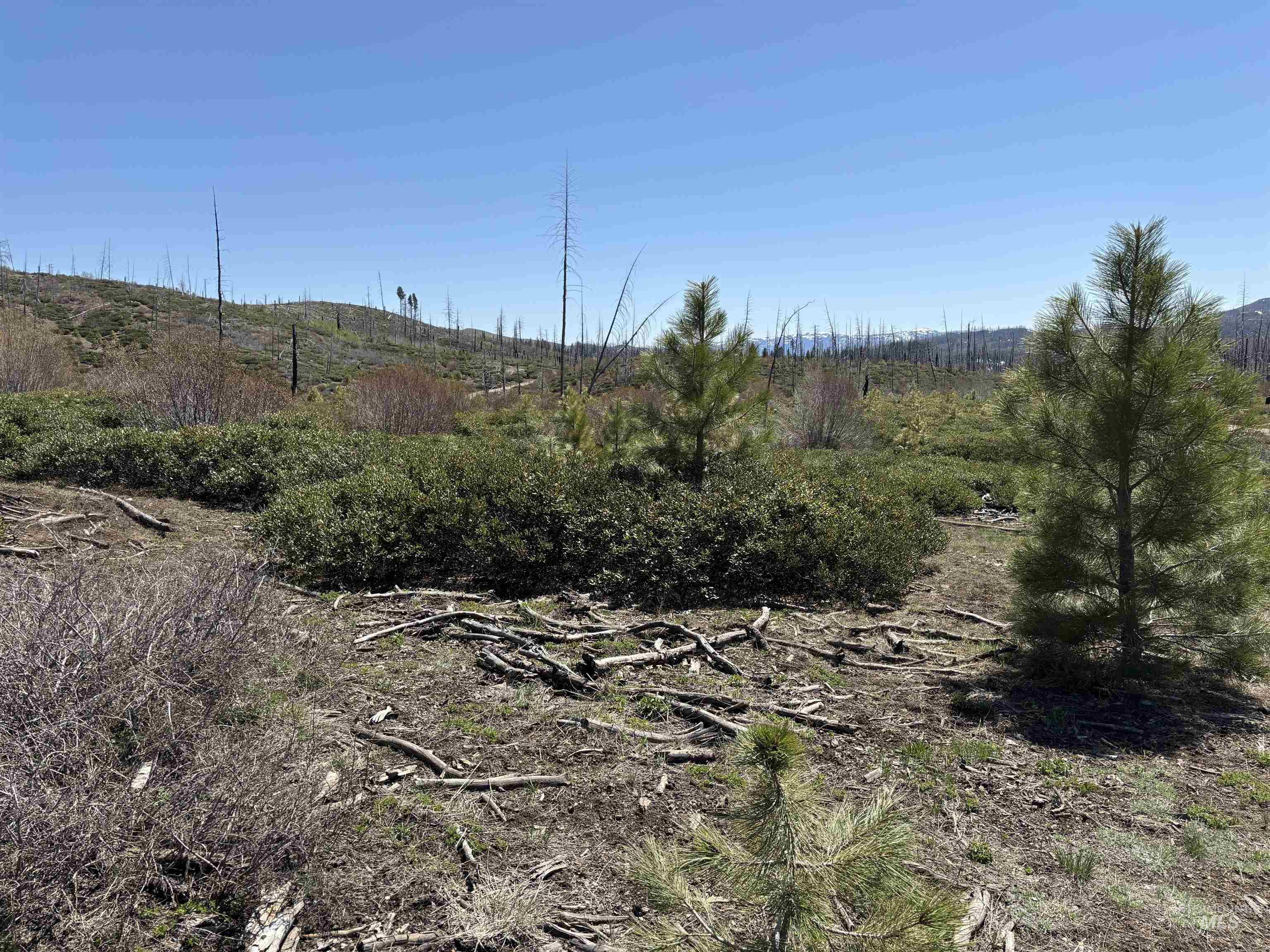 TBD Lester Creek Rd, Mountain Home, Idaho 83647, Land For Sale, Price $999,950, 98945954