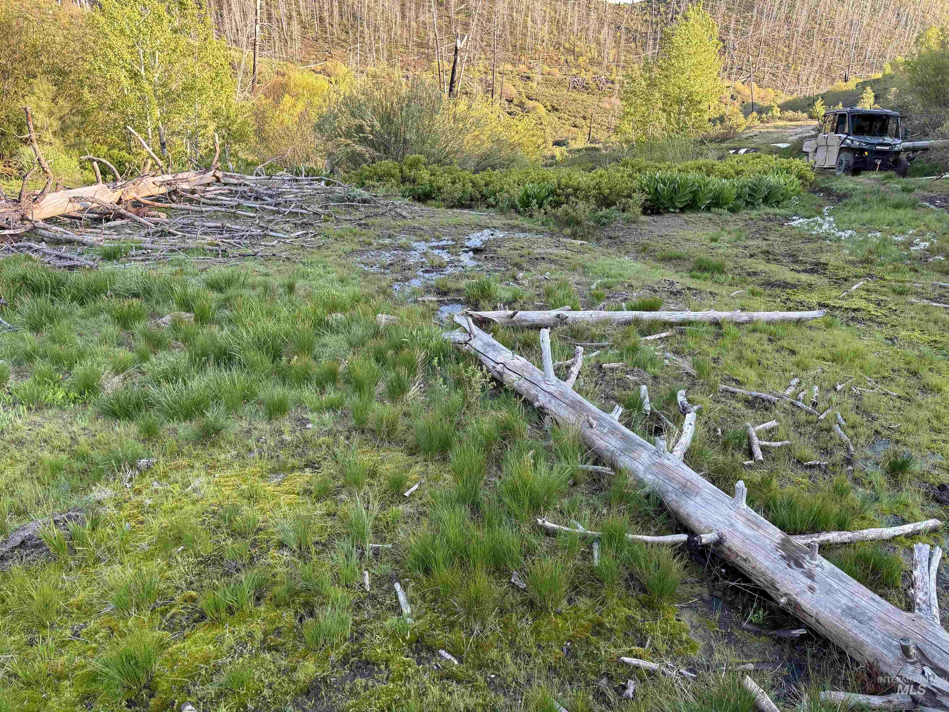 TBD Lester Creek Rd, Mountain Home, Idaho 83647, Land For Sale, Price $999,950, 98945954
