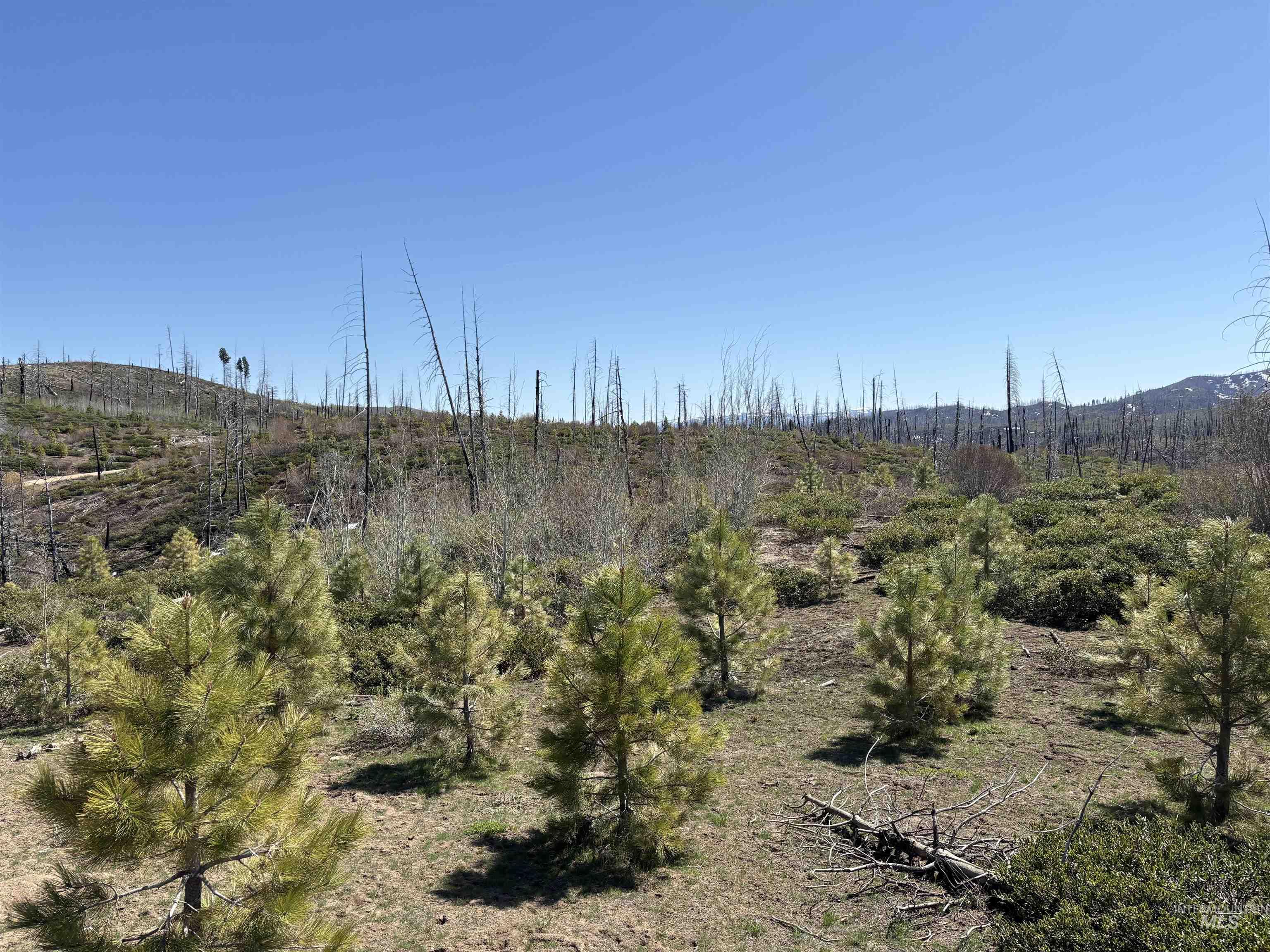 TBD Lester Creek Rd, Mountain Home, Idaho 83647, Land For Sale, Price $999,950, 98945954
