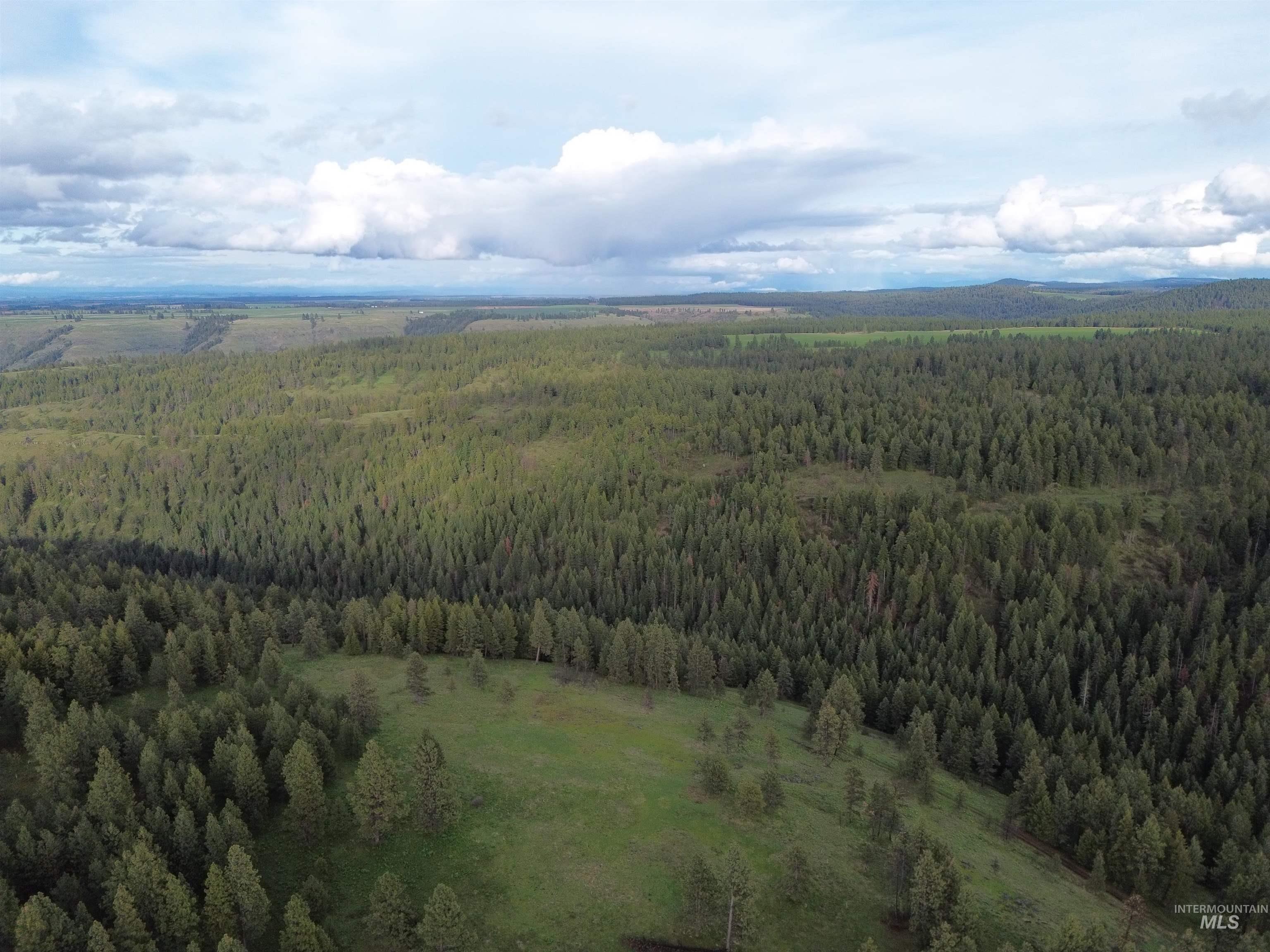 TBD McCormick Ridge Road, Lapwai, Idaho 83540, Land For Sale, Price $576,000, 98946020