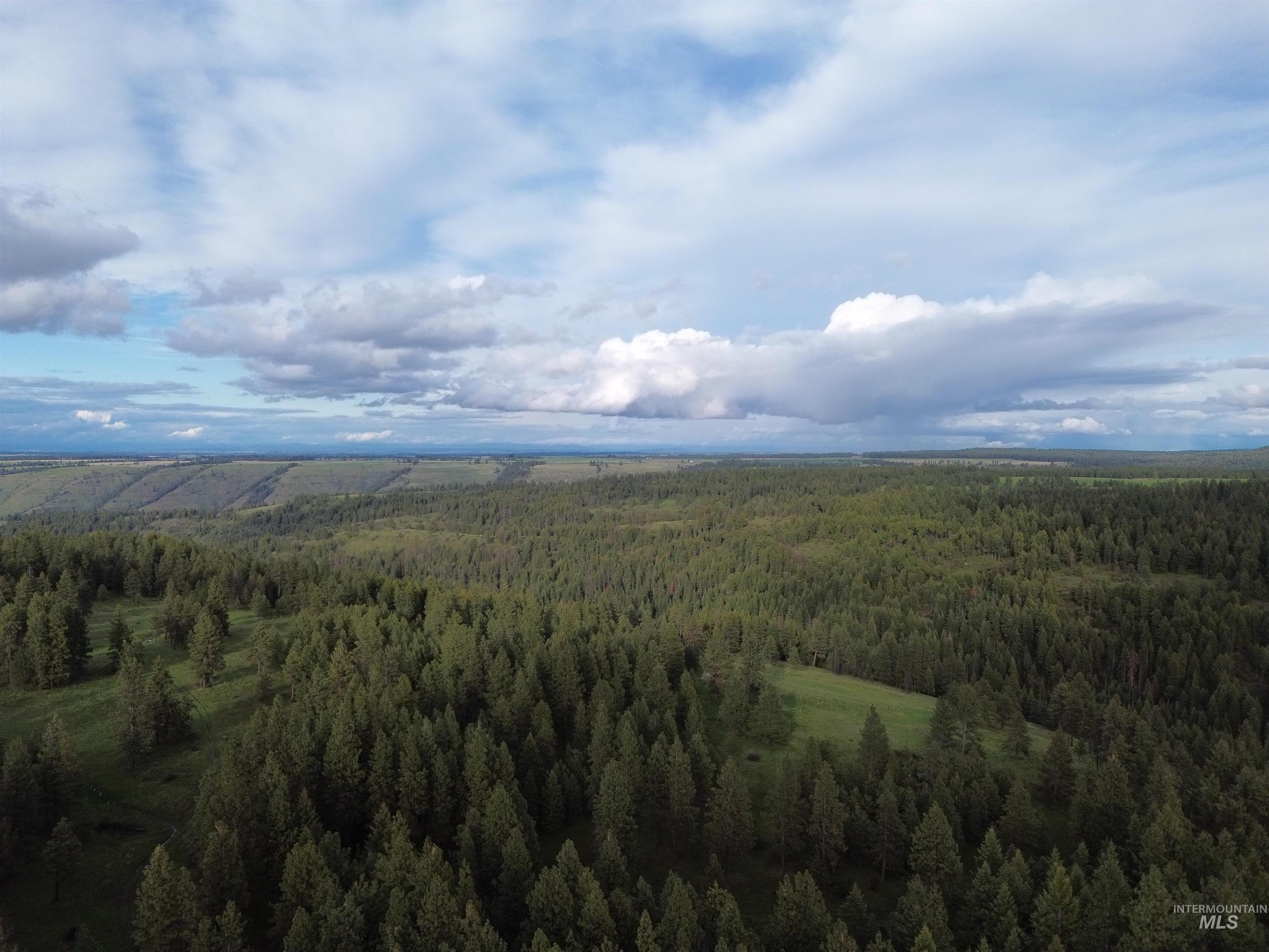 TBD McCormick Ridge Road, Lapwai, Idaho 83540, Land For Sale, Price $576,000, 98946020