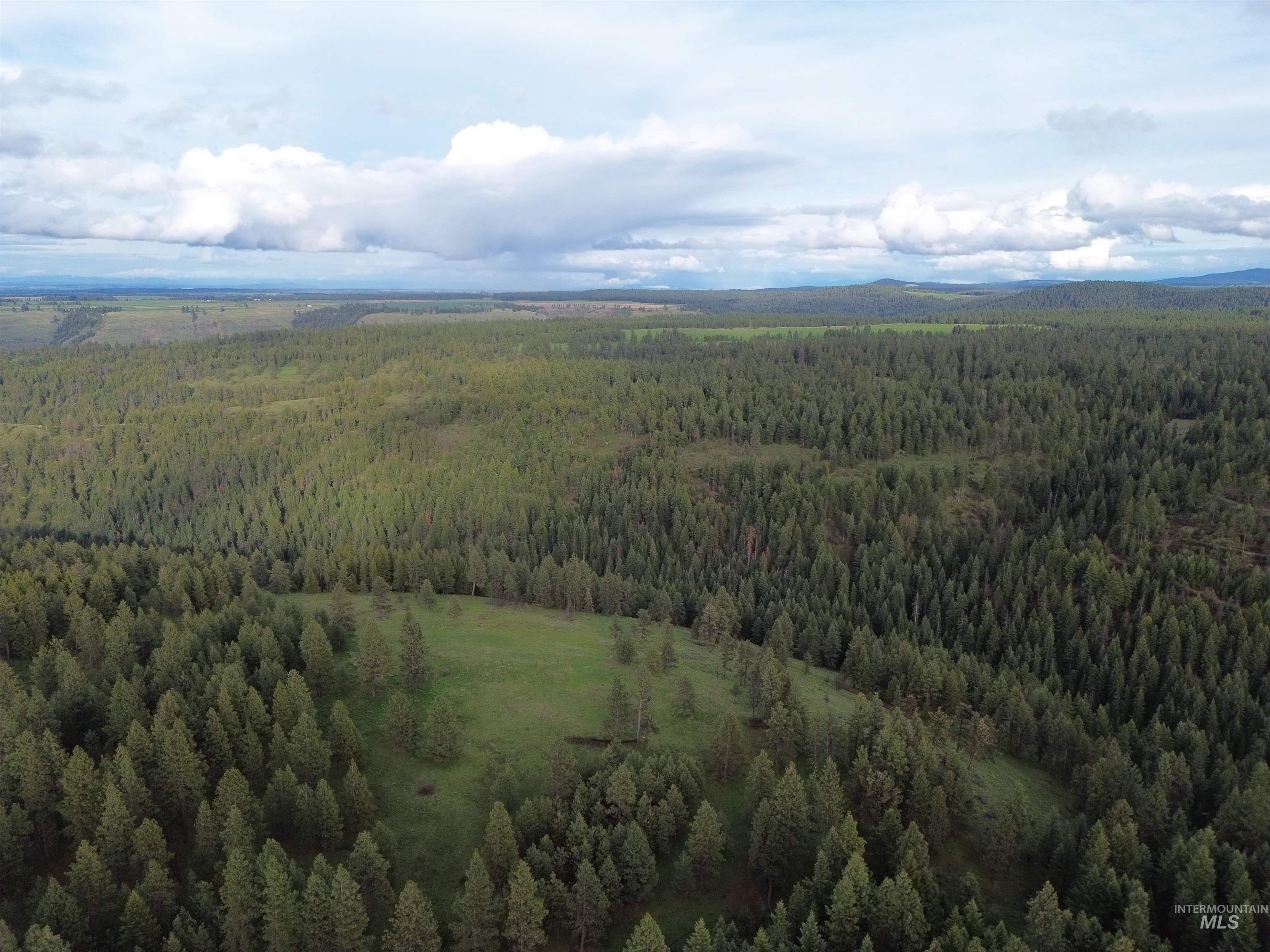 TBD McCormick Ridge Road, Lapwai, Idaho 83540, Land For Sale, Price $576,000, 98946020