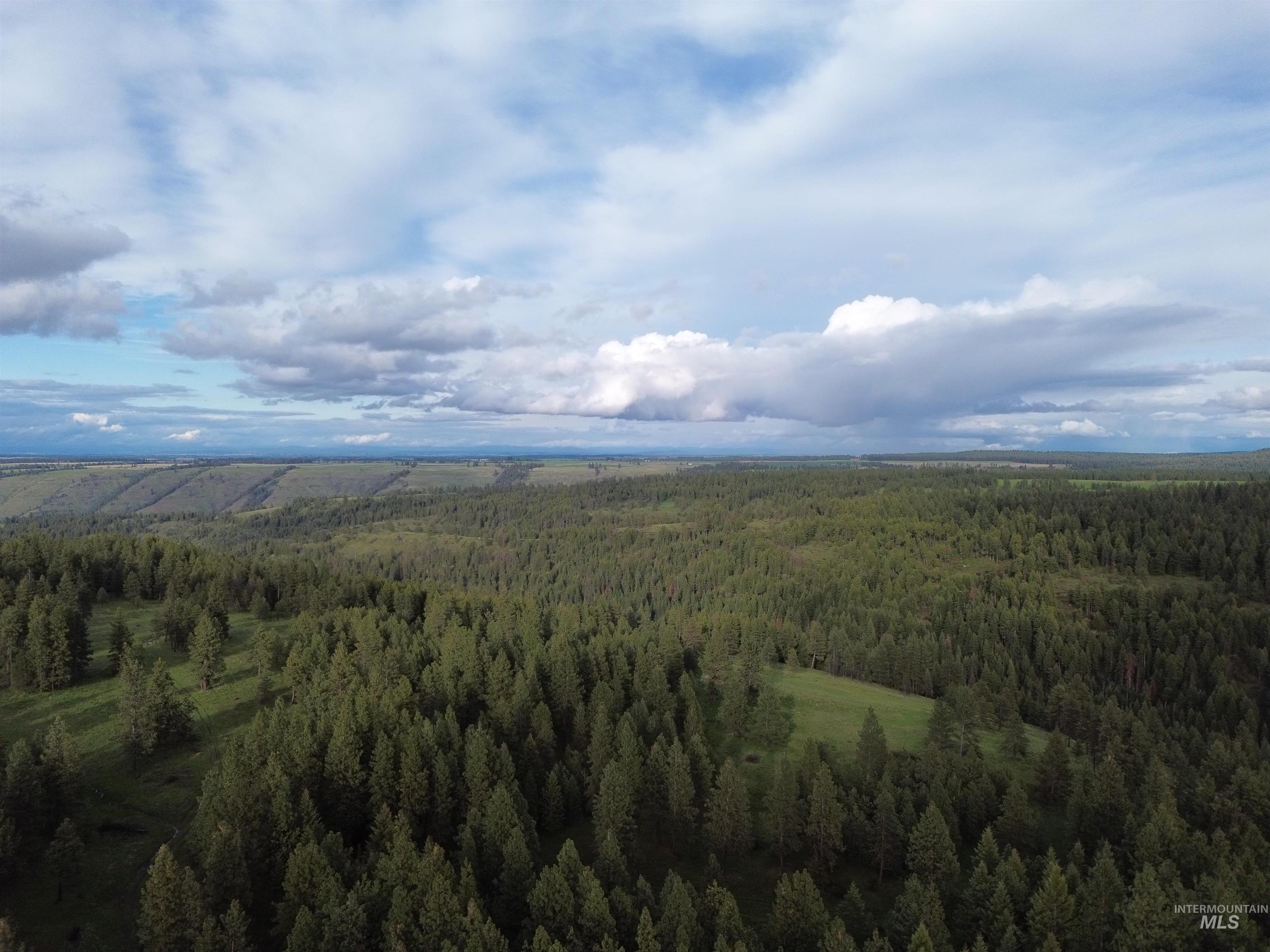 TBD McCormick Ridge Road, Lapwai, Idaho 83540, Land For Sale, Price $576,000, 98946020