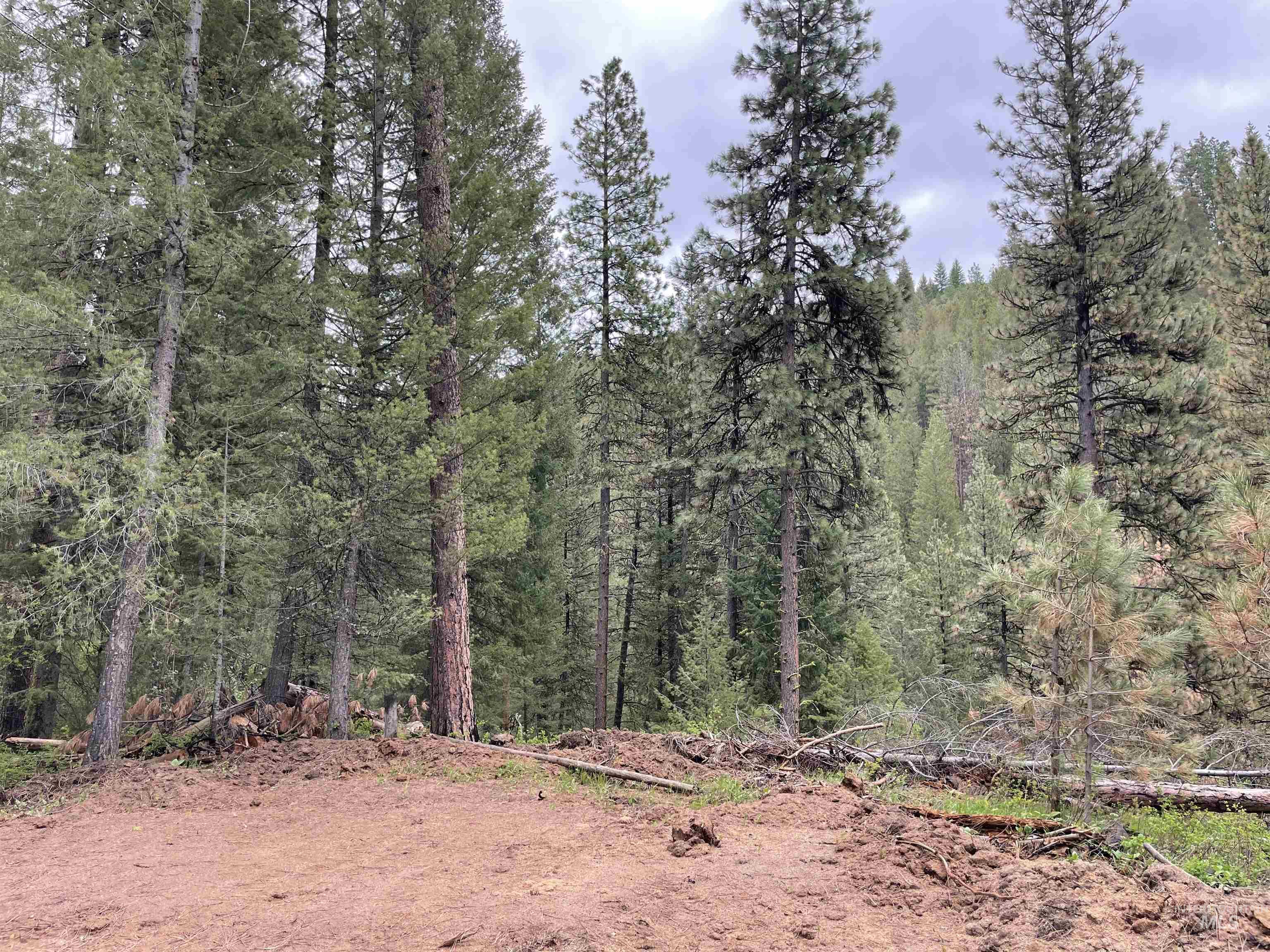 TBD Park Ln Lot 8, Boise, Idaho 83716, Land For Sale, Price $70,000, 98946032