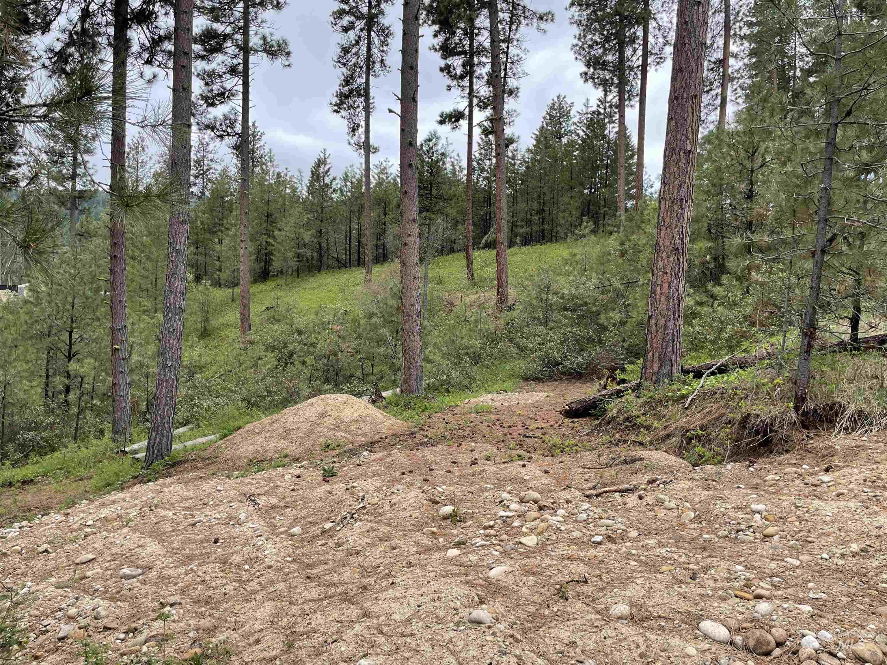 TBD Park Ln Lot 8, Boise, Idaho 83716, Land For Sale, Price $70,000, 98946032