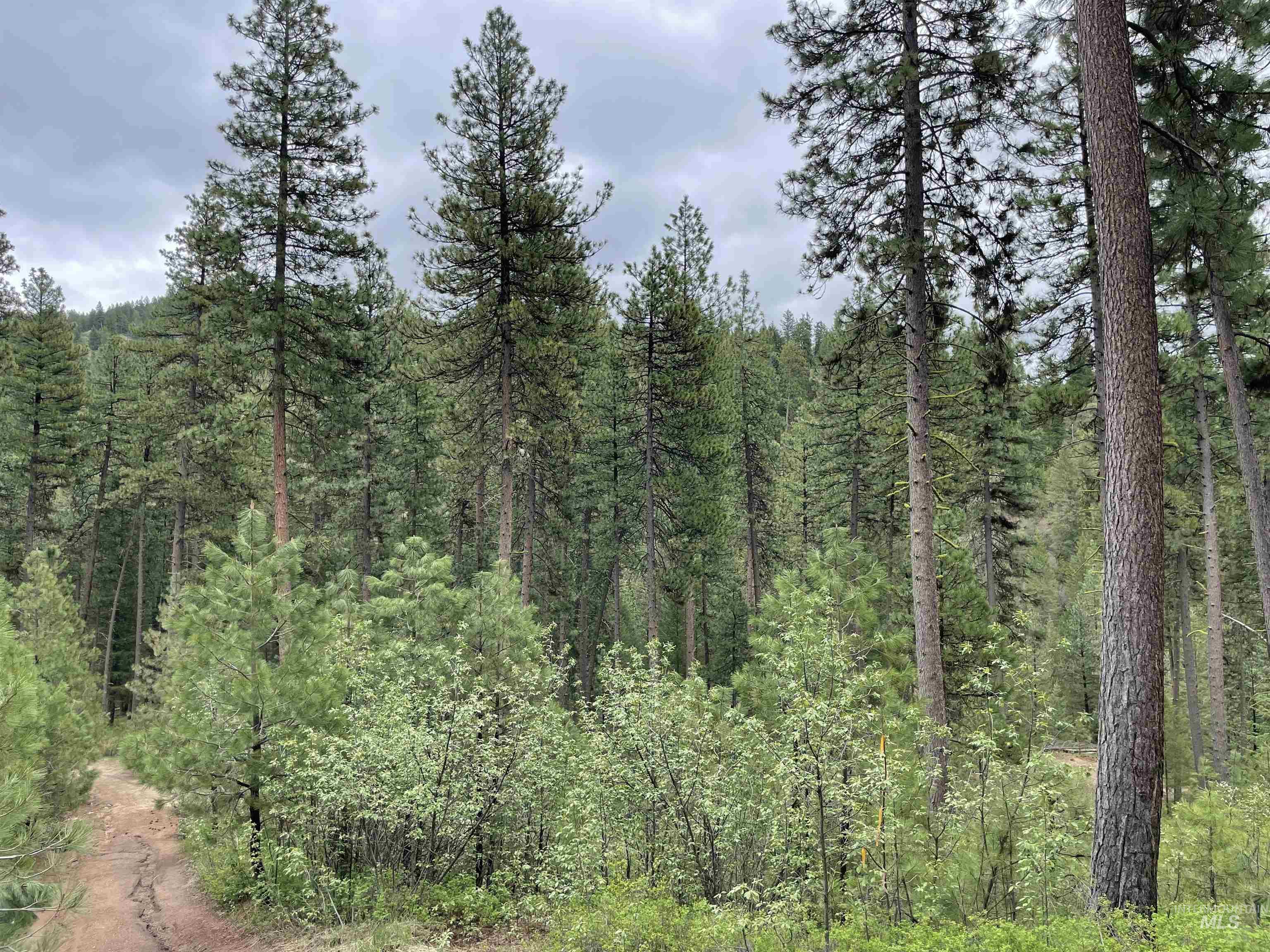 TBD Park Ln Lot 8, Boise, Idaho 83716, Land For Sale, Price $70,000, 98946032