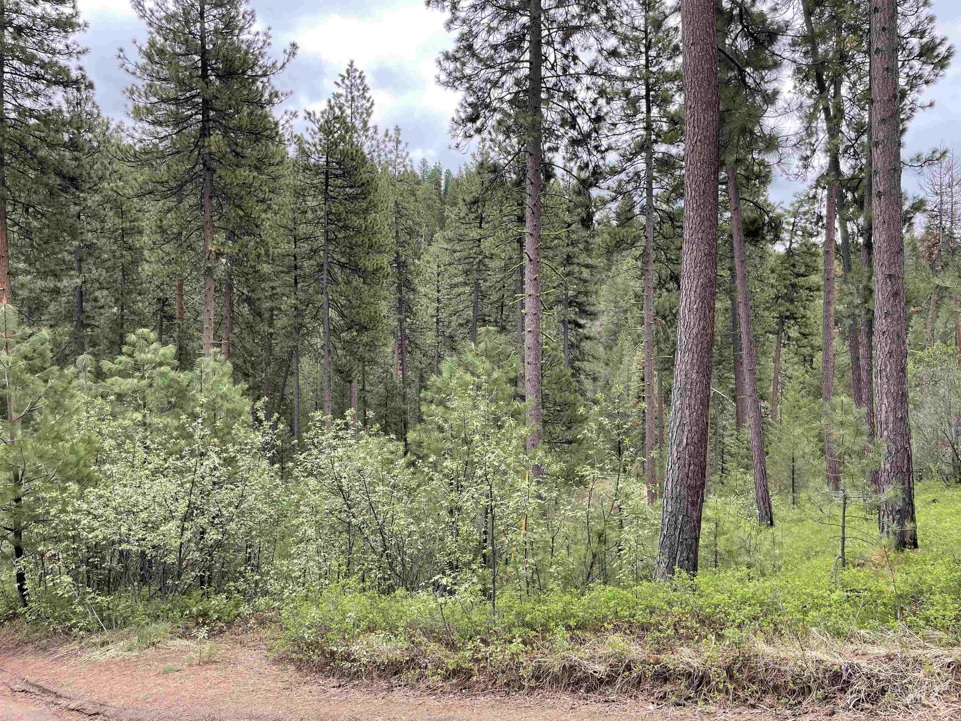 TBD Park Ln Lot 8, Boise, Idaho 83716, Land For Sale, Price $70,000, 98946032