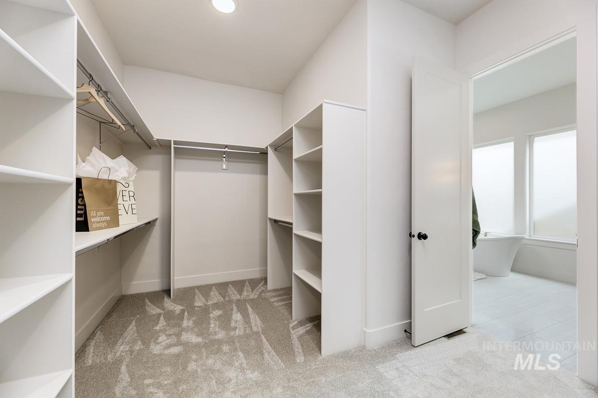 Spacious closet featuring light carpet