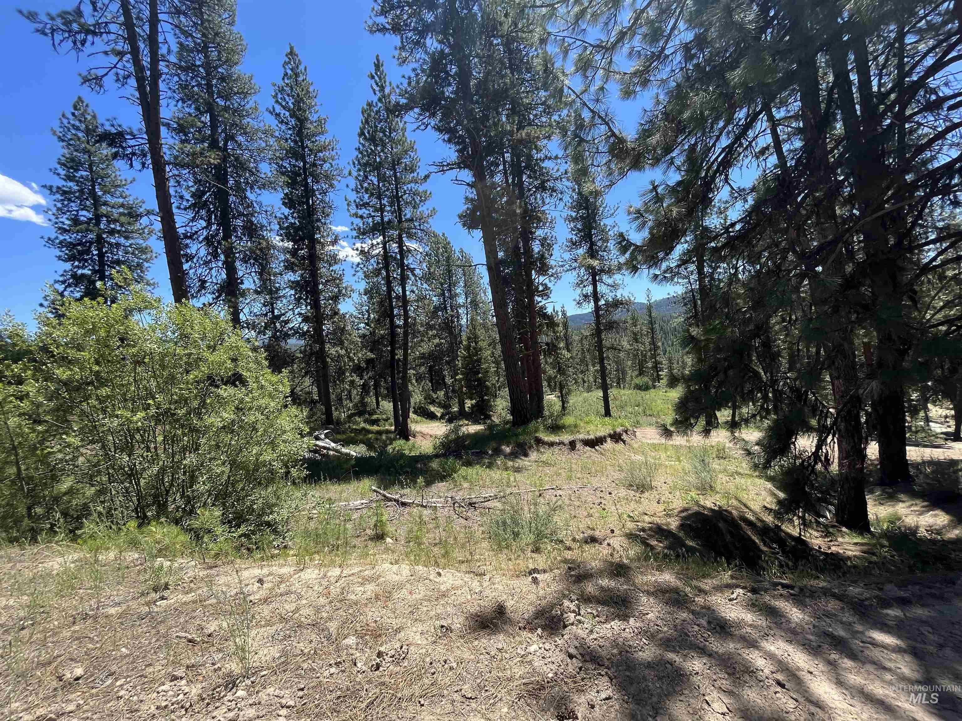 TBD Four Pines Loop, Idaho City, Idaho 83631, Land For Sale, Price $800,000, 98946044