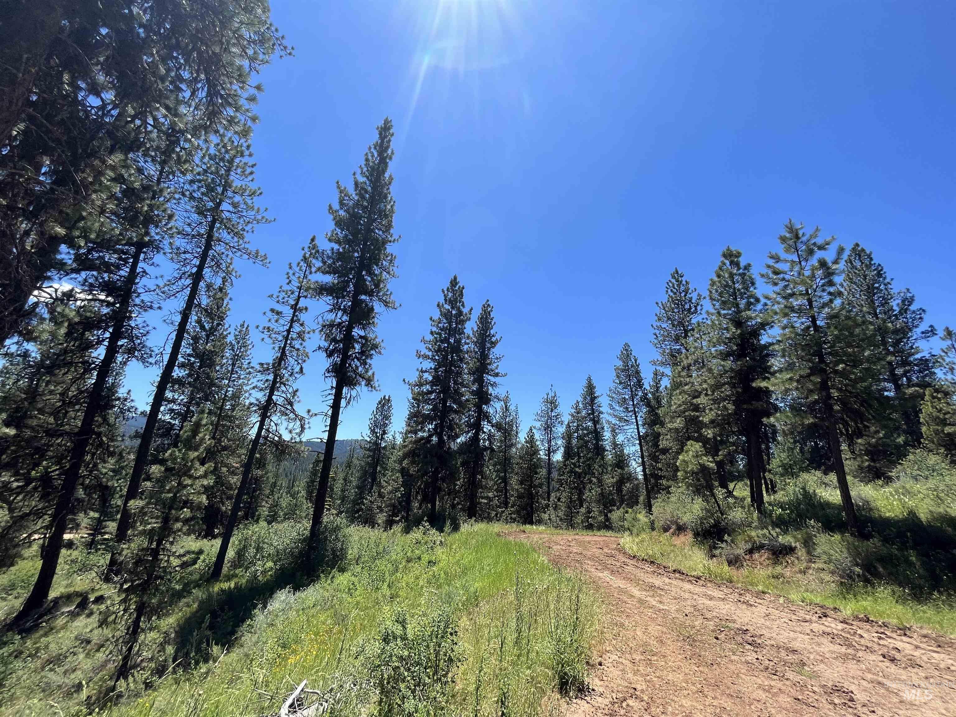 TBD Four Pines Loop, Idaho City, Idaho 83631, Land For Sale, Price $800,000, 98946044