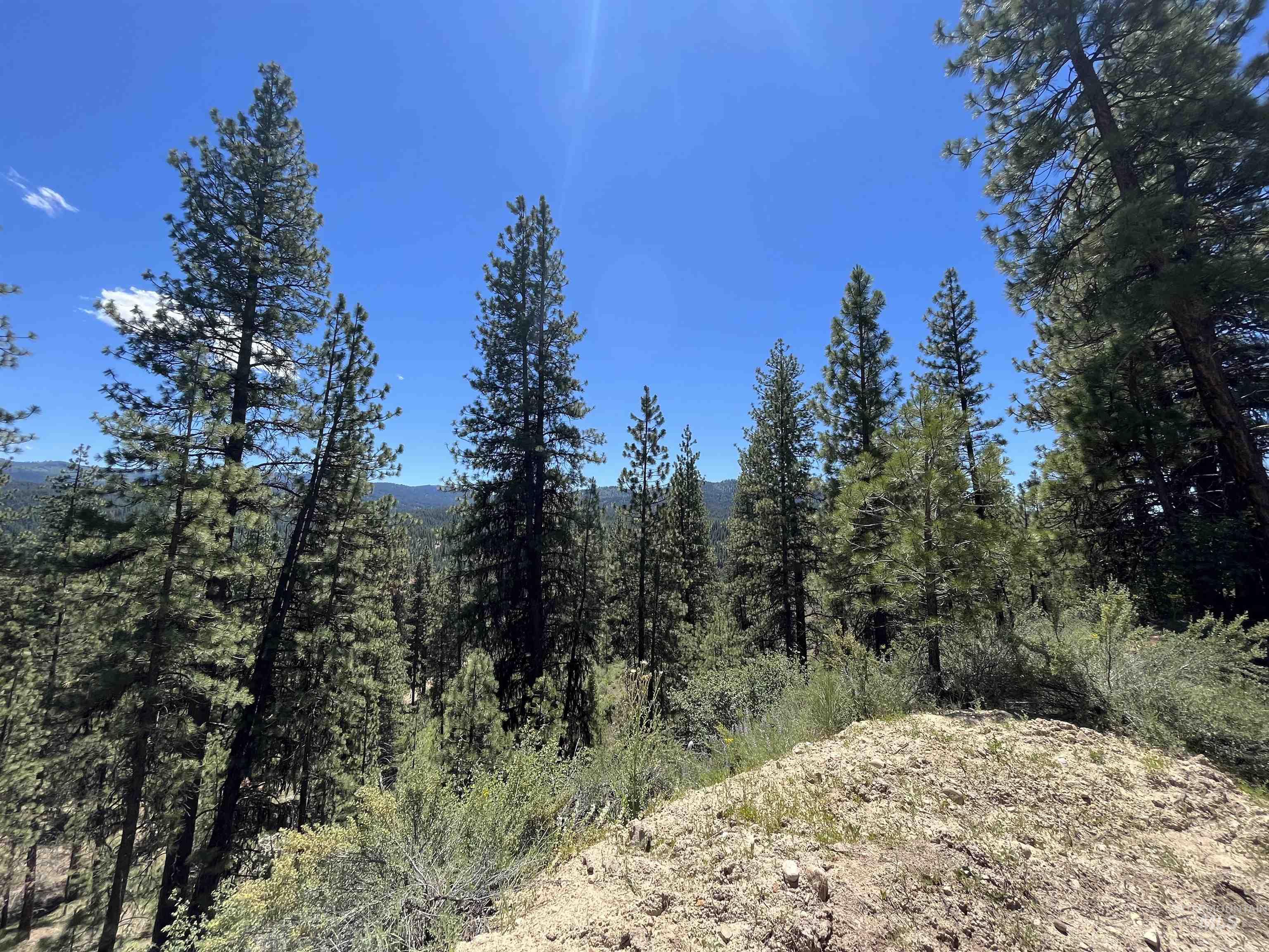 TBD Four Pines Loop, Idaho City, Idaho 83631, Land For Sale, Price $800,000, 98946044