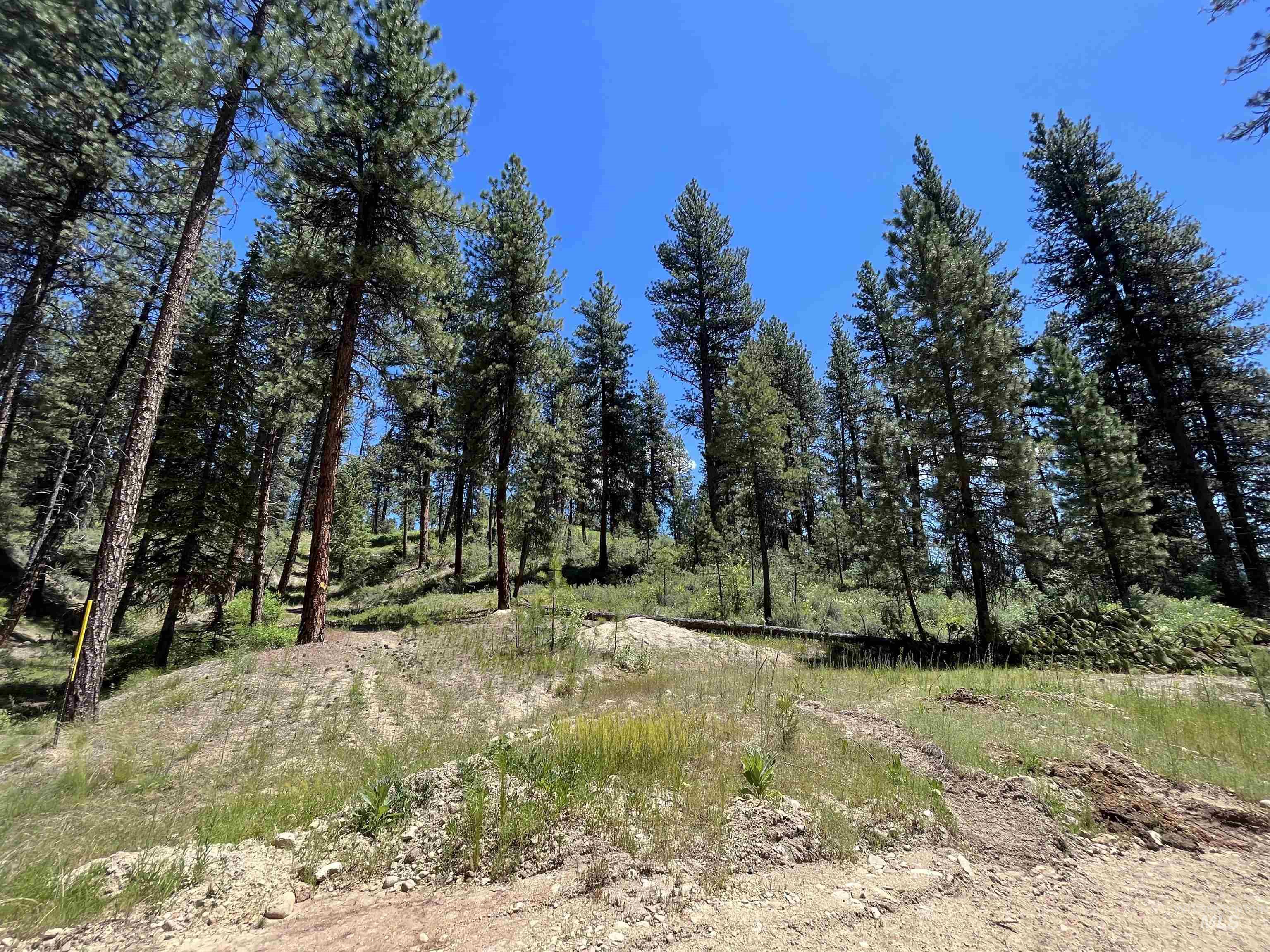 TBD Four Pines Loop, Idaho City, Idaho 83631, Land For Sale, Price $800,000, 98946044