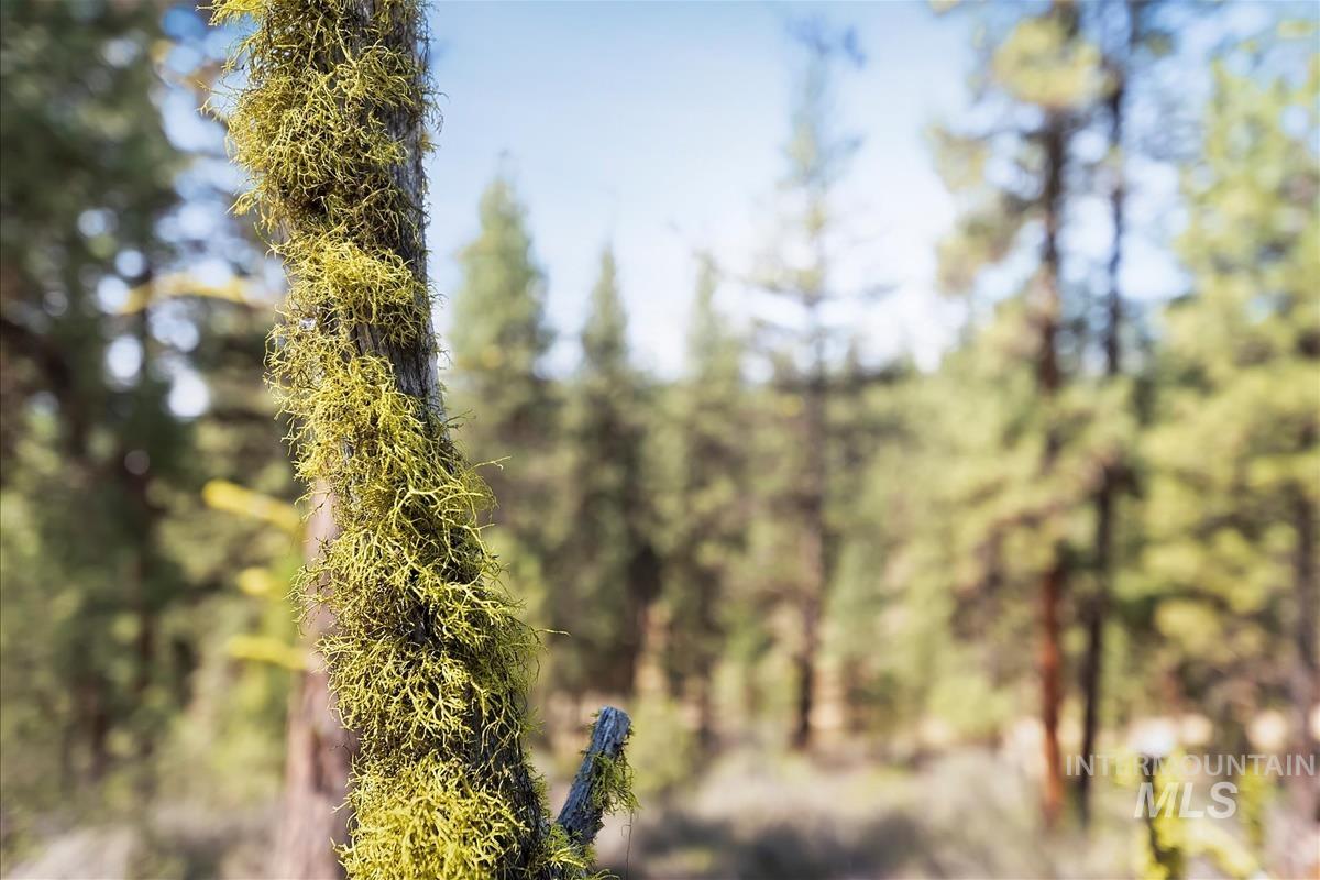 TBD Four Pines Loop, Idaho City, Idaho 83631, Land For Sale, Price $800,000, 98946044