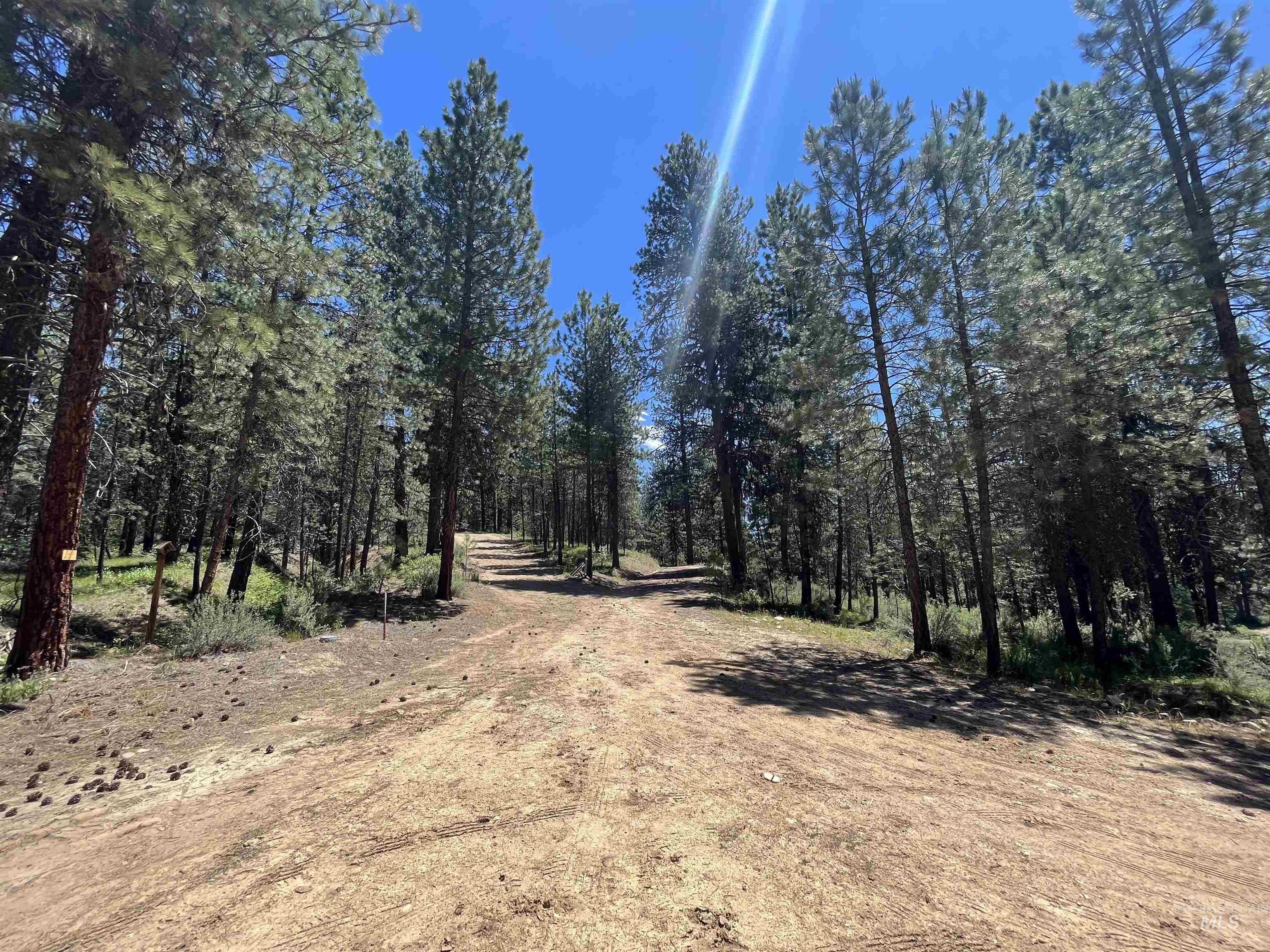 TBD Four Pines Loop, Idaho City, Idaho 83631, Land For Sale, Price $800,000, 98946044