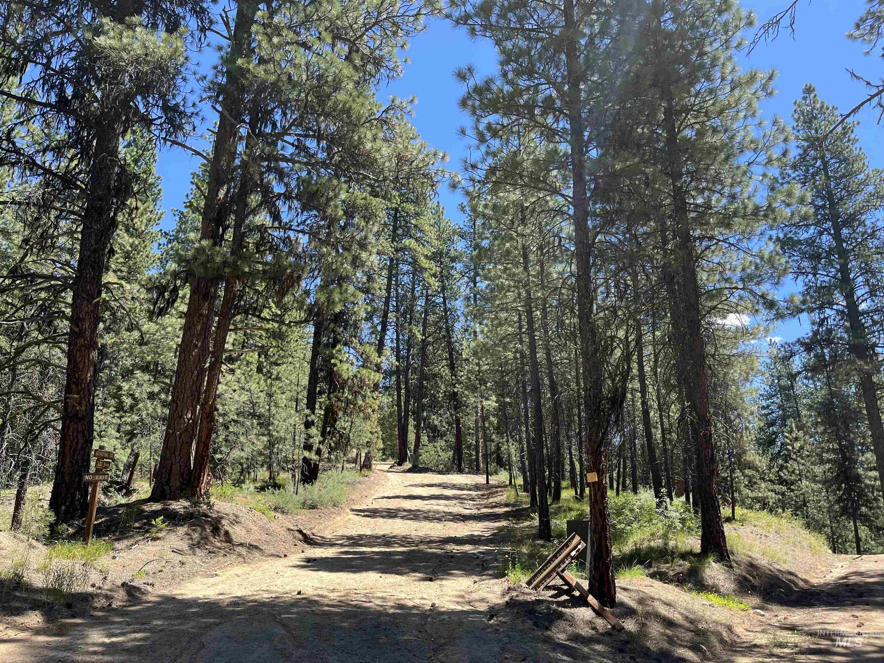 TBD Four Pines Loop, Idaho City, Idaho 83631, Land For Sale, Price $800,000, 98946044