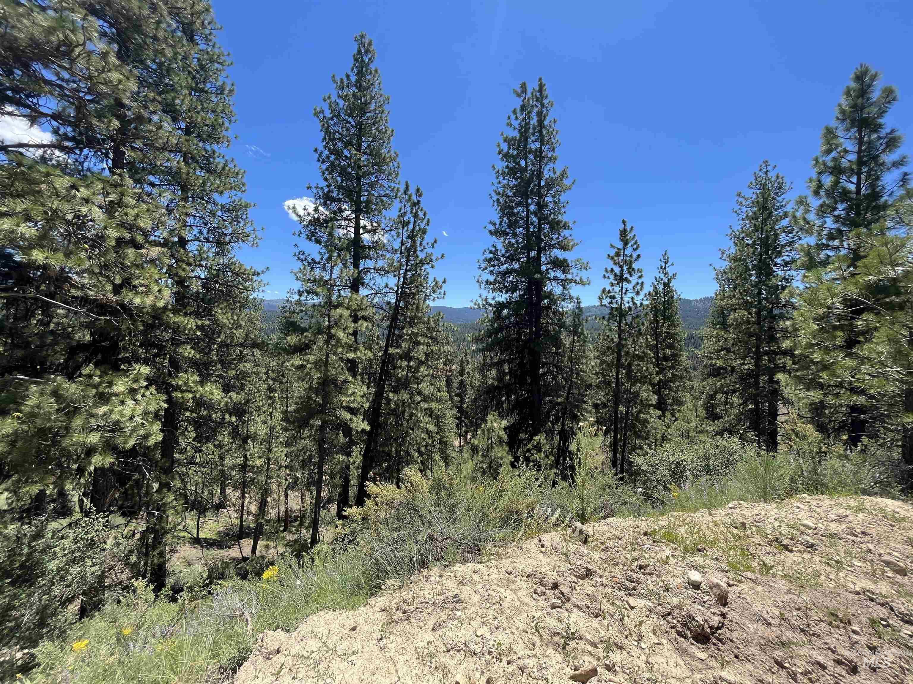 TBD Four Pines Loop, Idaho City, Idaho 83631, Land For Sale, Price $800,000, 98946044