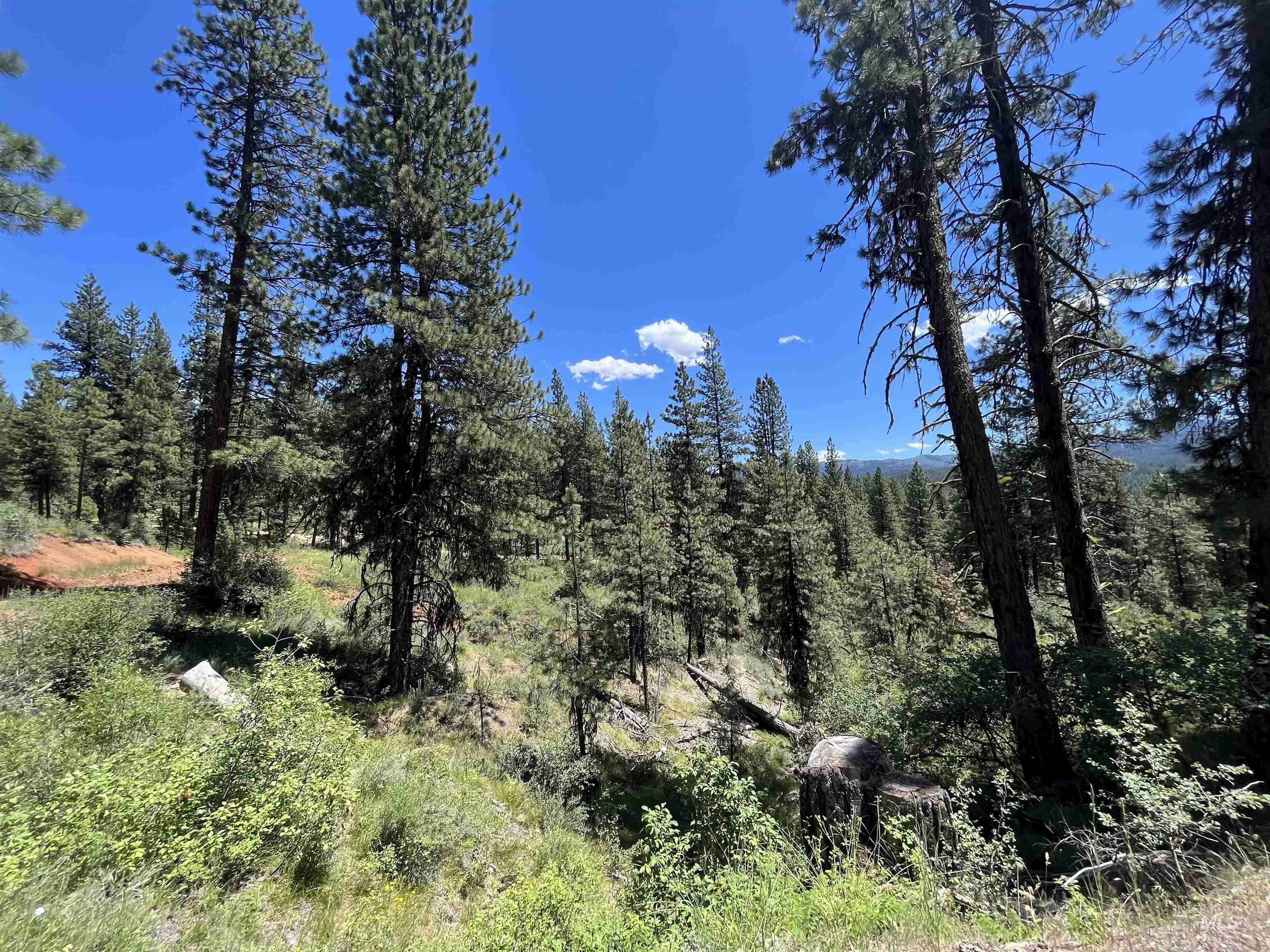 TBD Four Pines Loop, Idaho City, Idaho 83631, Land For Sale, Price $800,000, 98946044