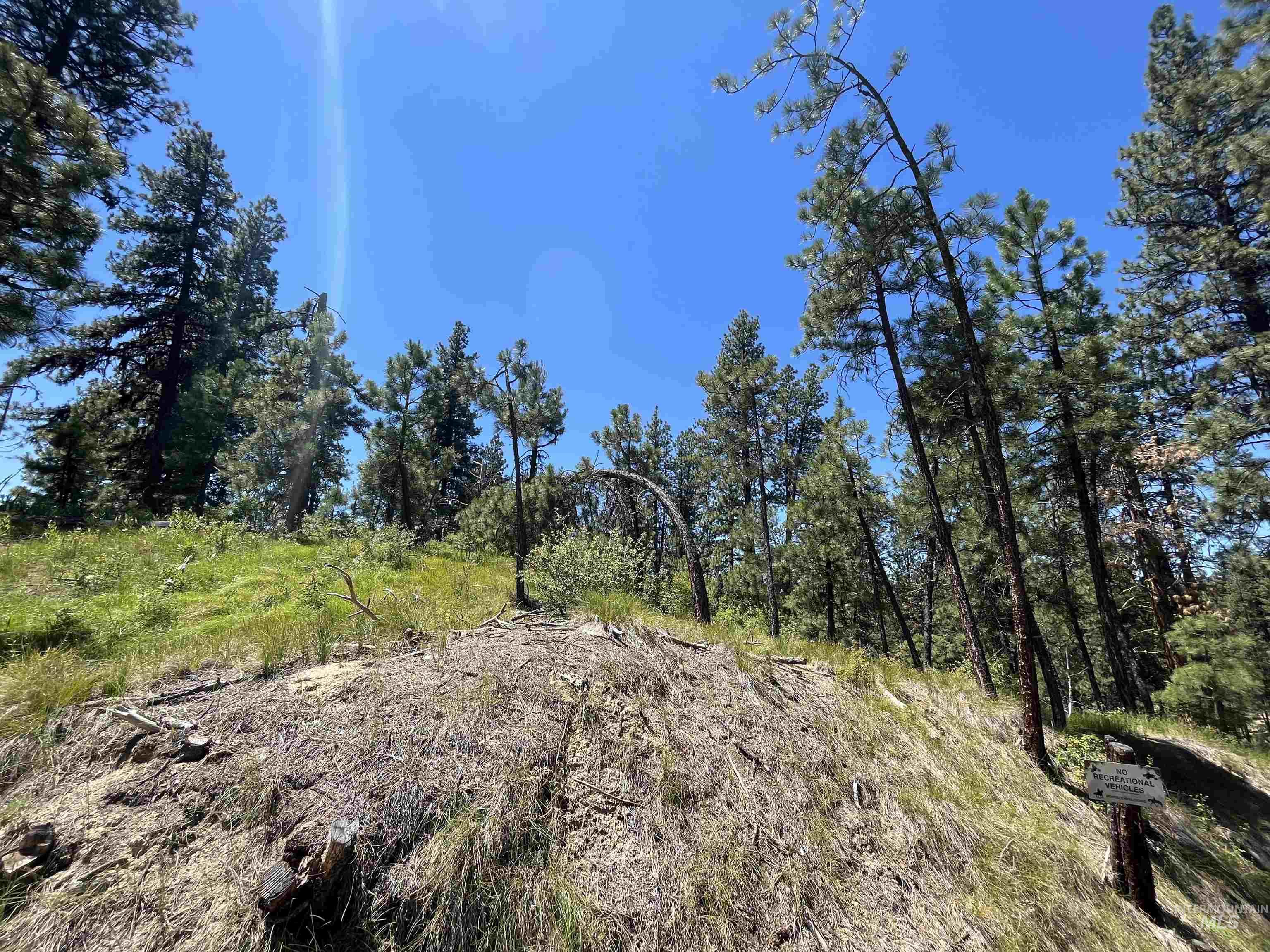 TBD Four Pines Loop, Idaho City, Idaho 83631, Land For Sale, Price $800,000, 98946044