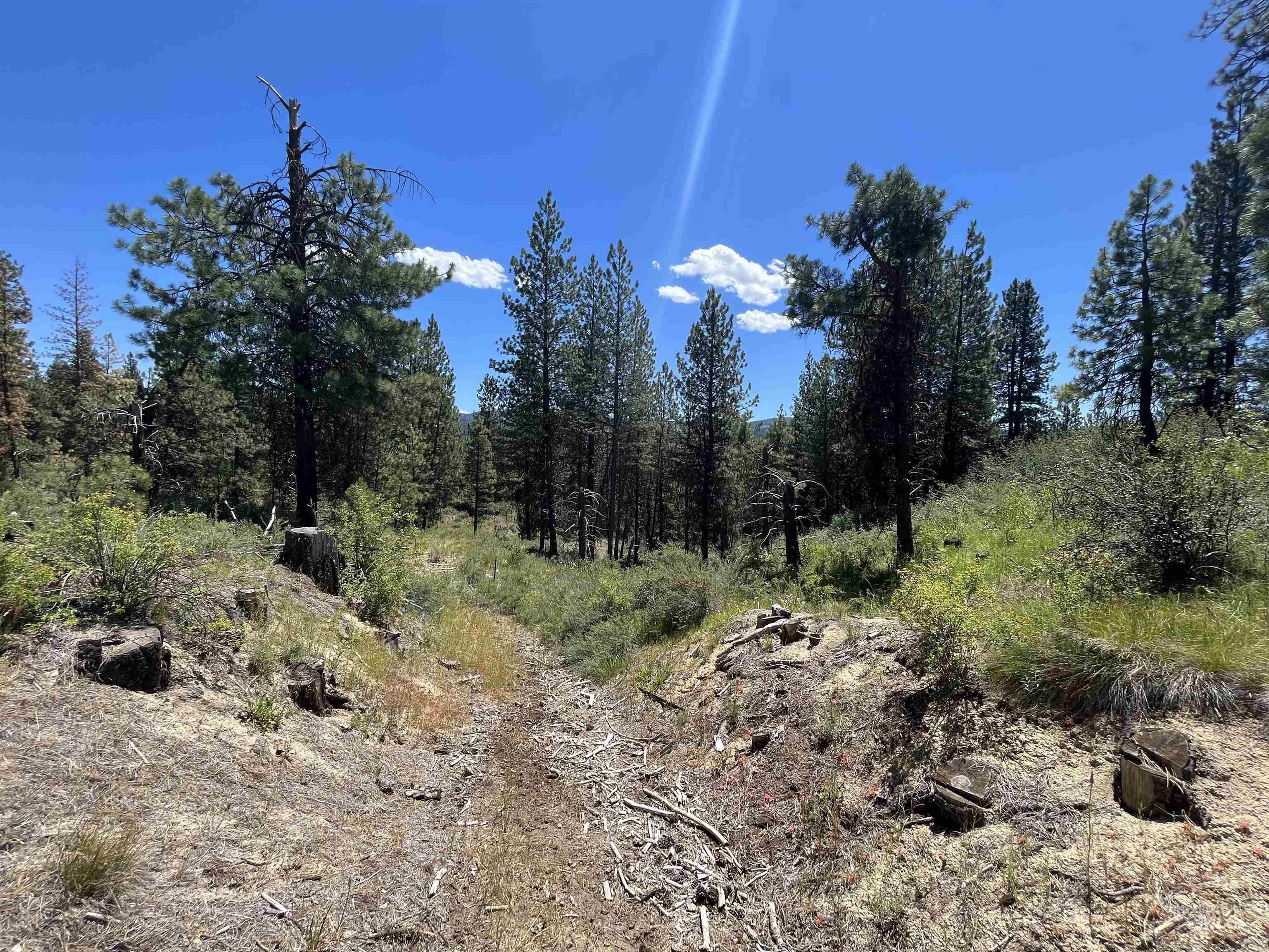 TBD Four Pines Loop, Idaho City, Idaho 83631, Land For Sale, Price $800,000, 98946044