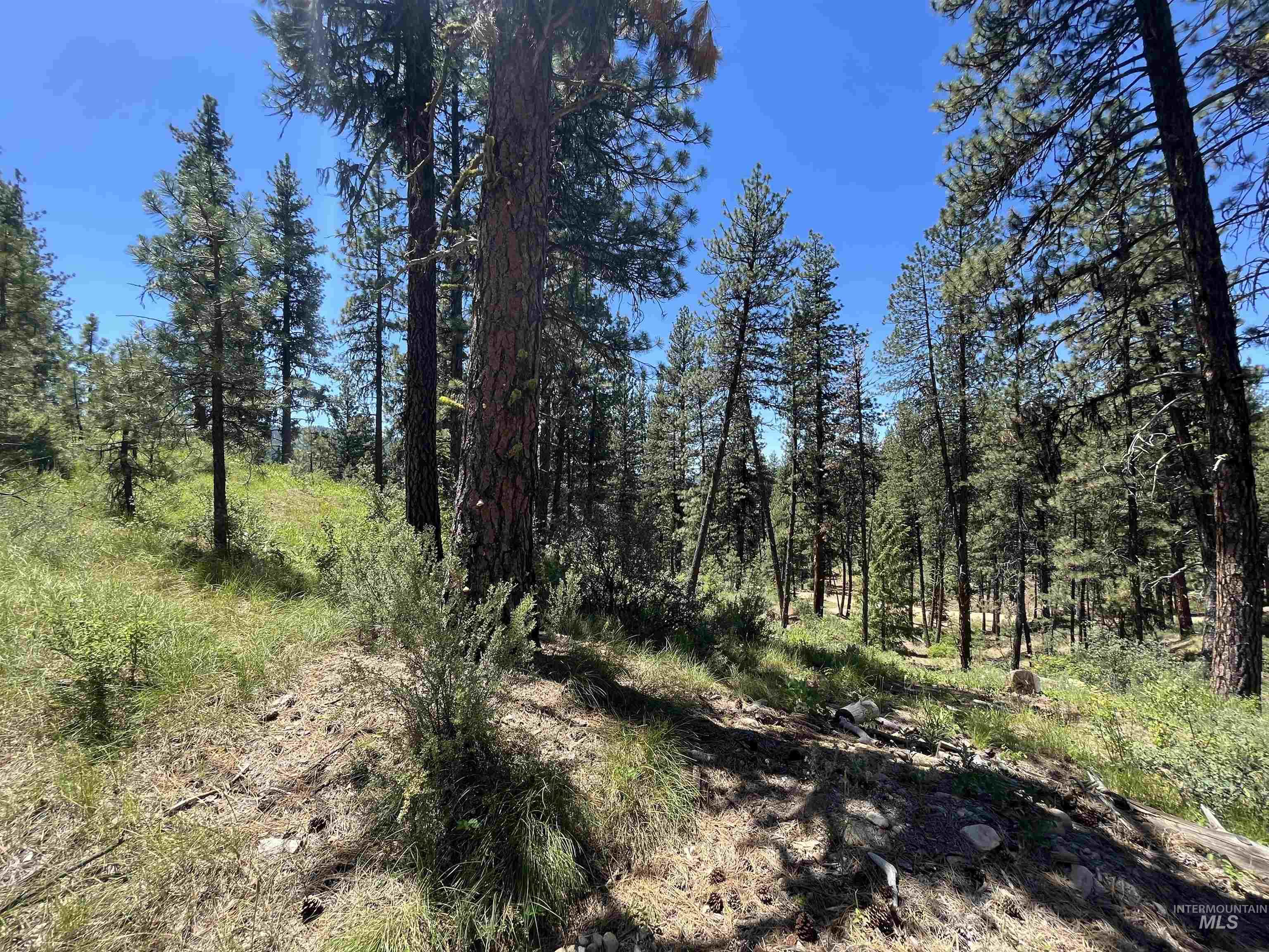 TBD Four Pines Loop, Idaho City, Idaho 83631, Land For Sale, Price $800,000, 98946044
