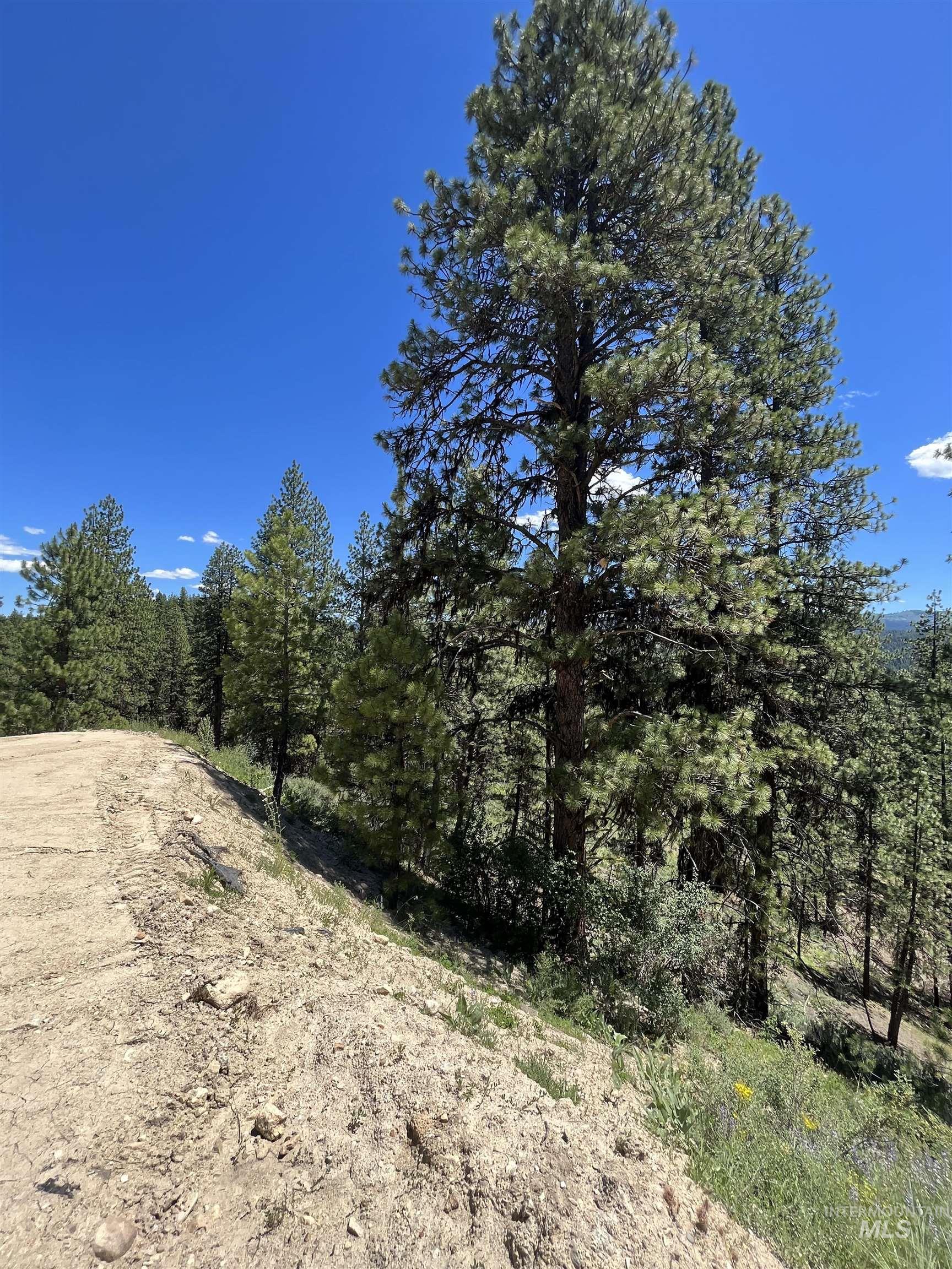 TBD Four Pines Loop, Idaho City, Idaho 83631, Land For Sale, Price $800,000, 98946044