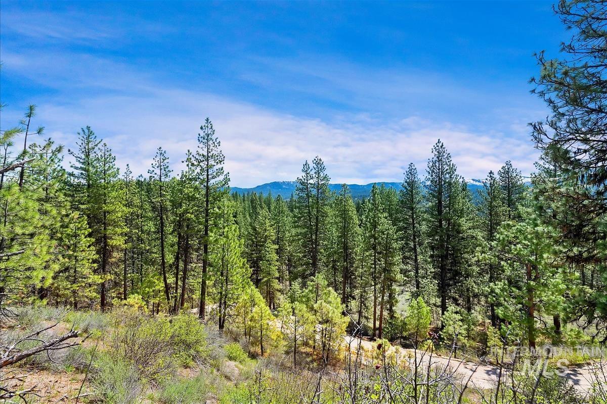 TBD Four Pines Loop, Idaho City, Idaho 83631, Land For Sale, Price $800,000, 98946044