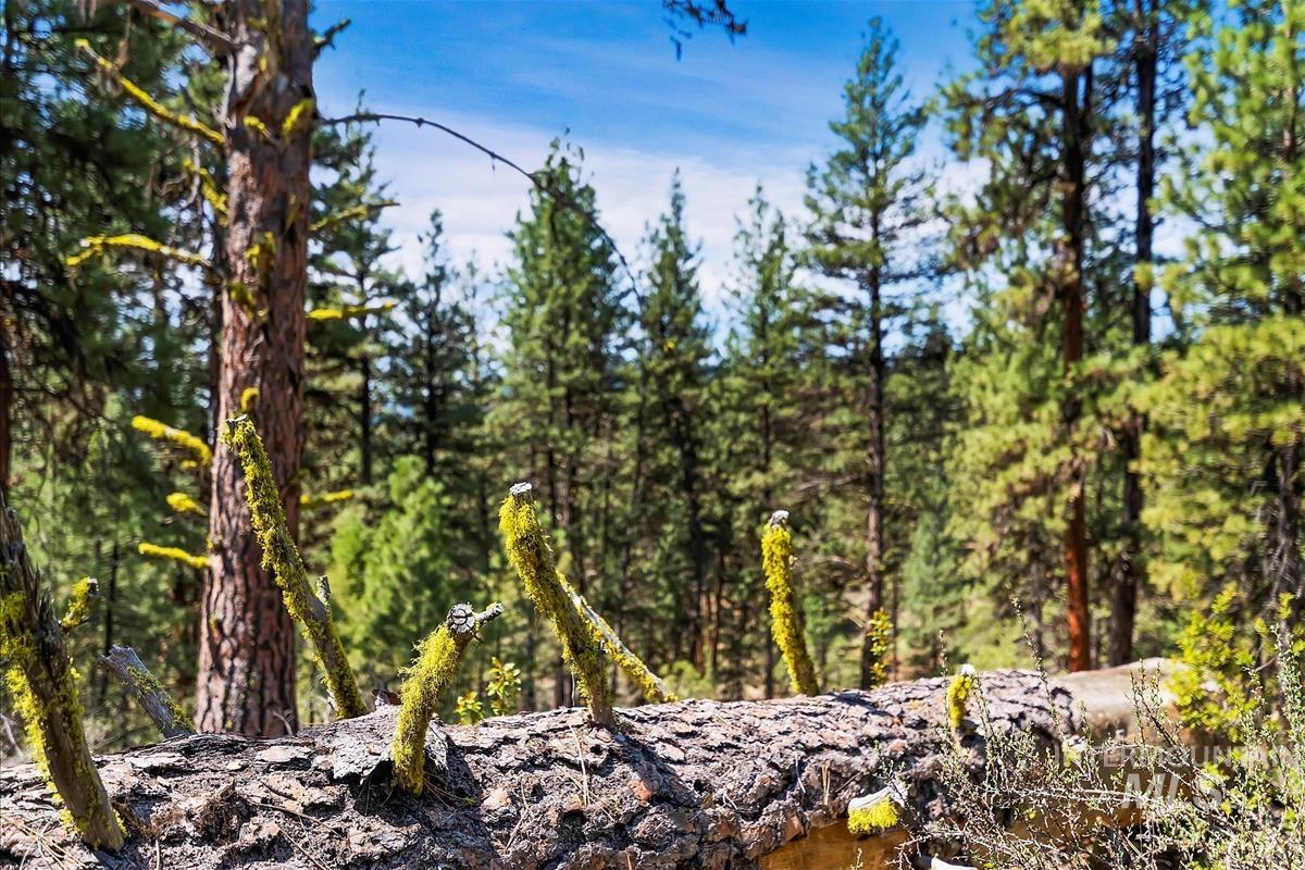 TBD Four Pines Loop, Idaho City, Idaho 83631, Land For Sale, Price $800,000, 98946044