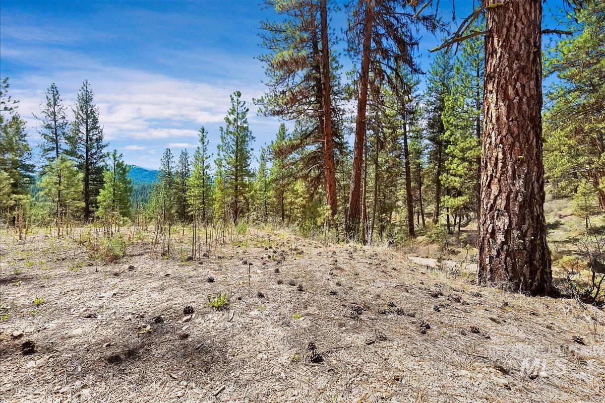 TBD Four Pines Loop, Idaho City, Idaho 83631, Land For Sale, Price $800,000, 98946044