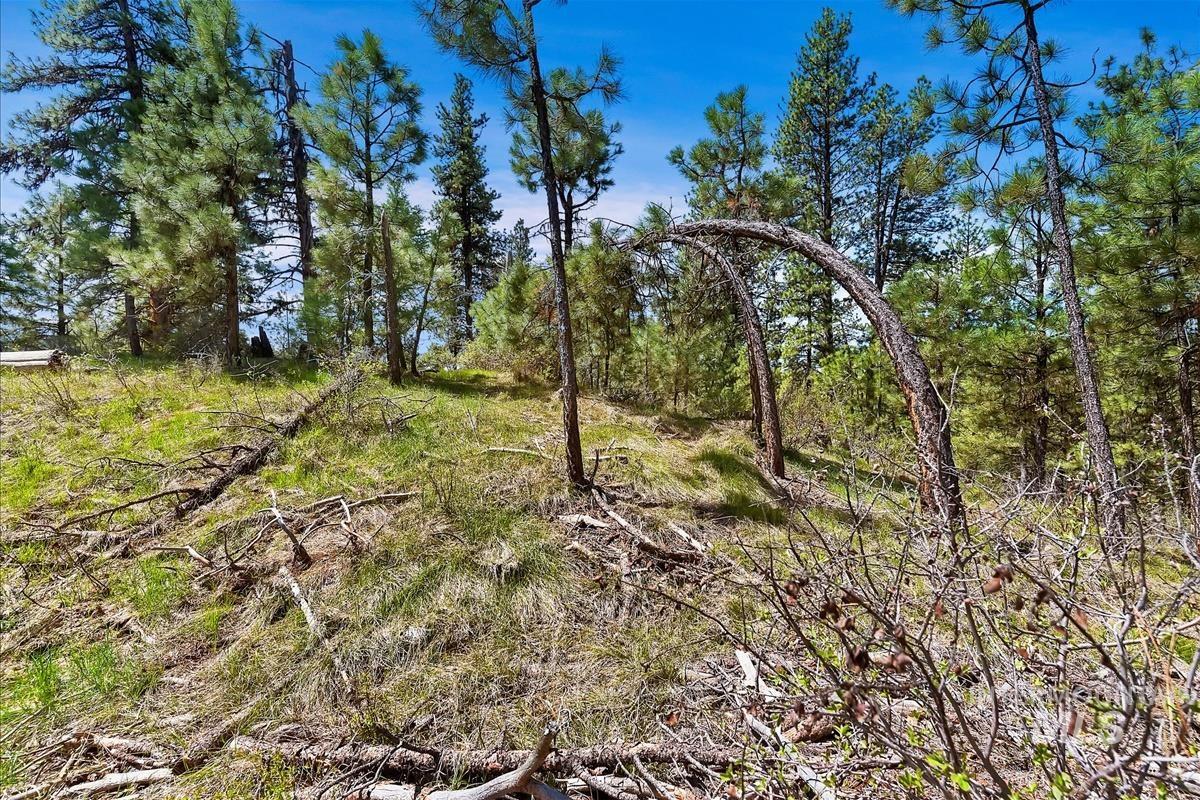 TBD Four Pines Loop, Idaho City, Idaho 83631, Land For Sale, Price $800,000, 98946044