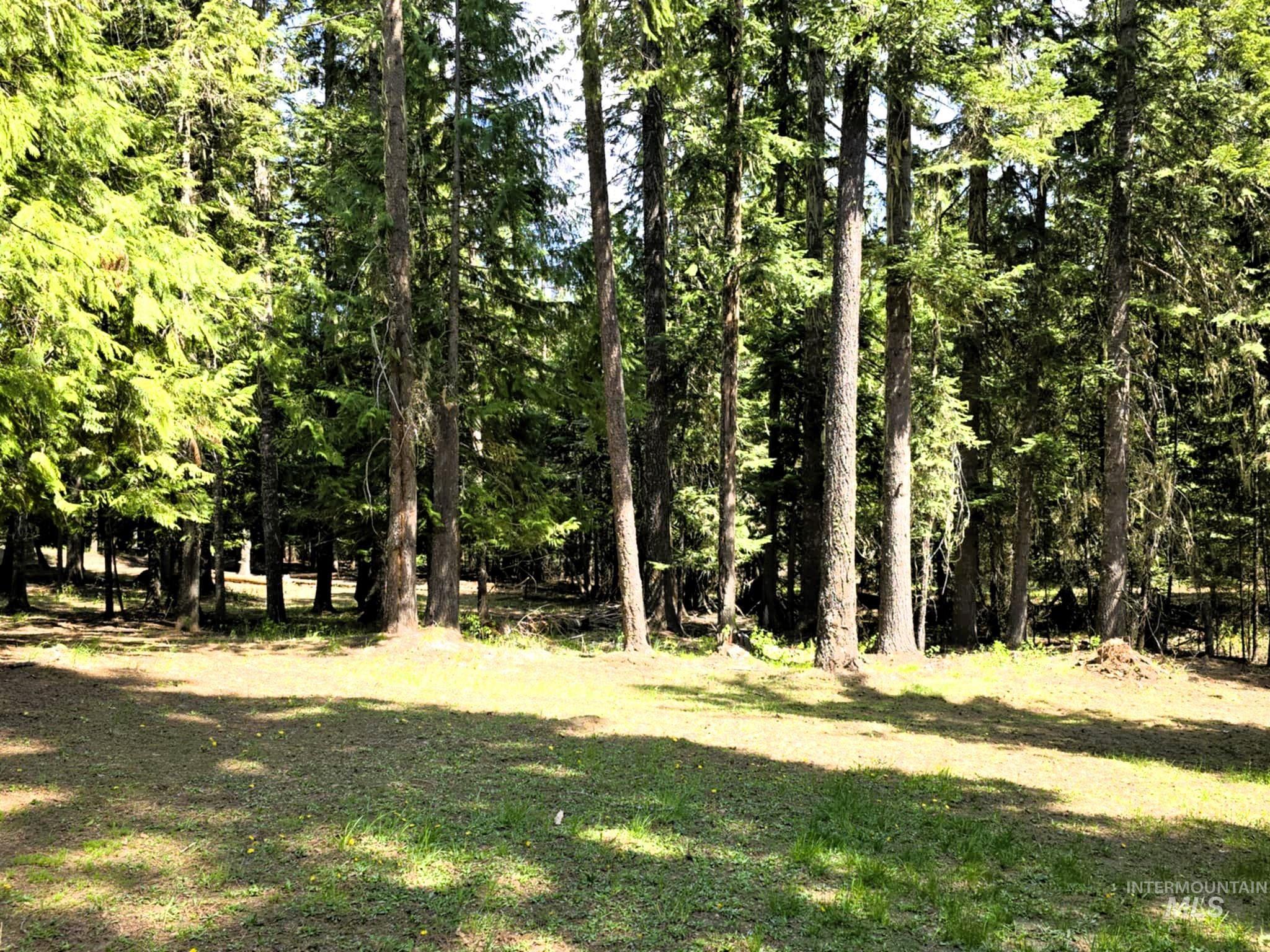 68 Panorama Dr, Lenore, Idaho 83541, 2 Bedrooms, 2 Bathrooms, Residential For Sale, Price $575,000, 98946047