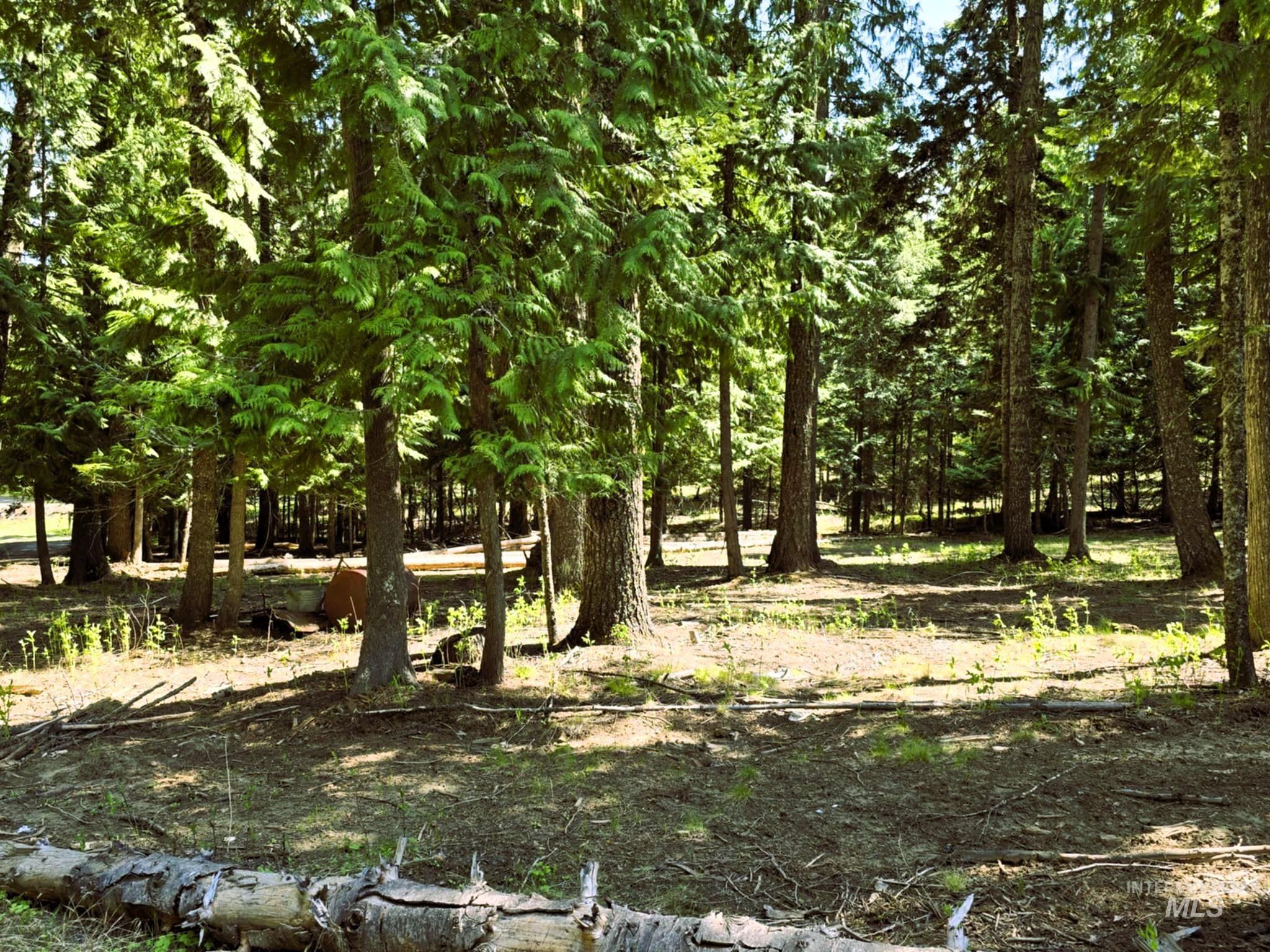 68 Panorama Dr, Lenore, Idaho 83541, 2 Bedrooms, 2 Bathrooms, Residential For Sale, Price $575,000, 98946047