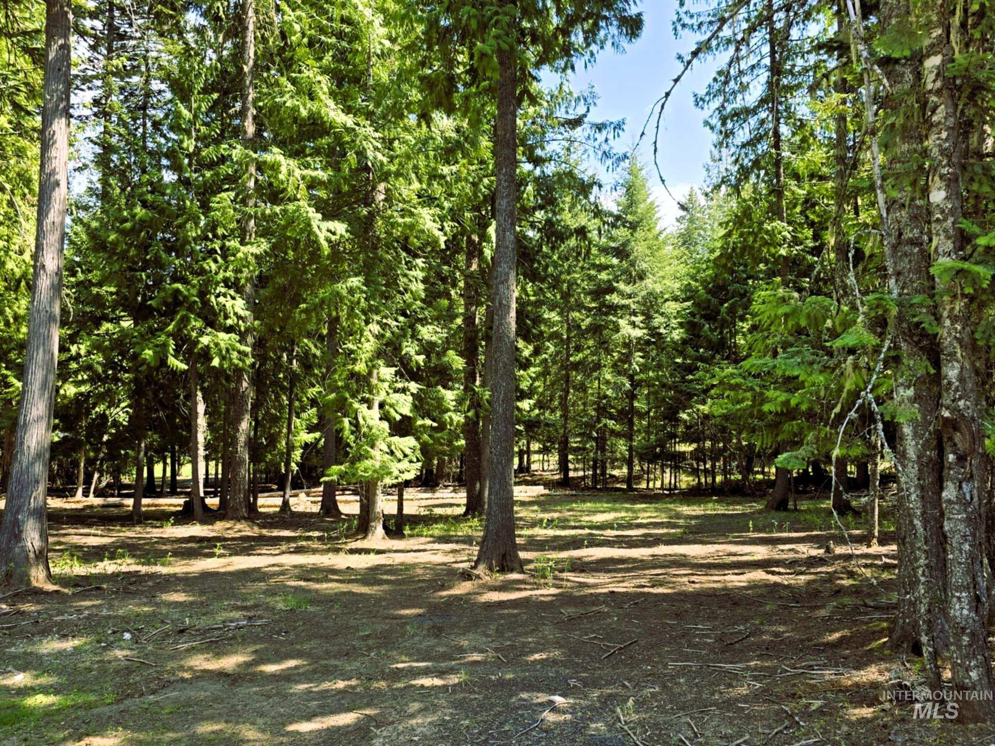 68 Panorama Dr, Lenore, Idaho 83541, 2 Bedrooms, 2 Bathrooms, Residential For Sale, Price $575,000, 98946047