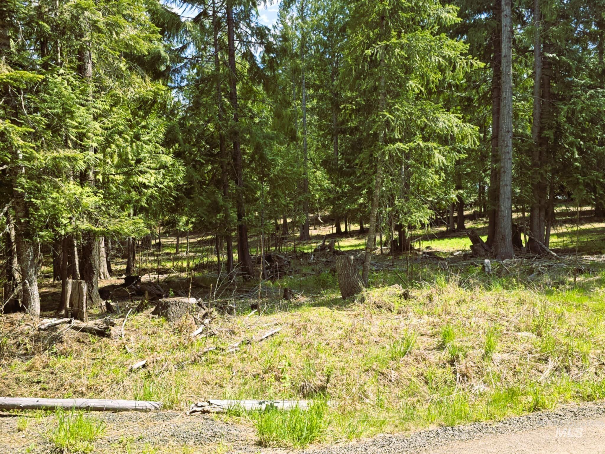 68 Panorama Dr, Lenore, Idaho 83541, 2 Bedrooms, 2 Bathrooms, Residential For Sale, Price $575,000, 98946047