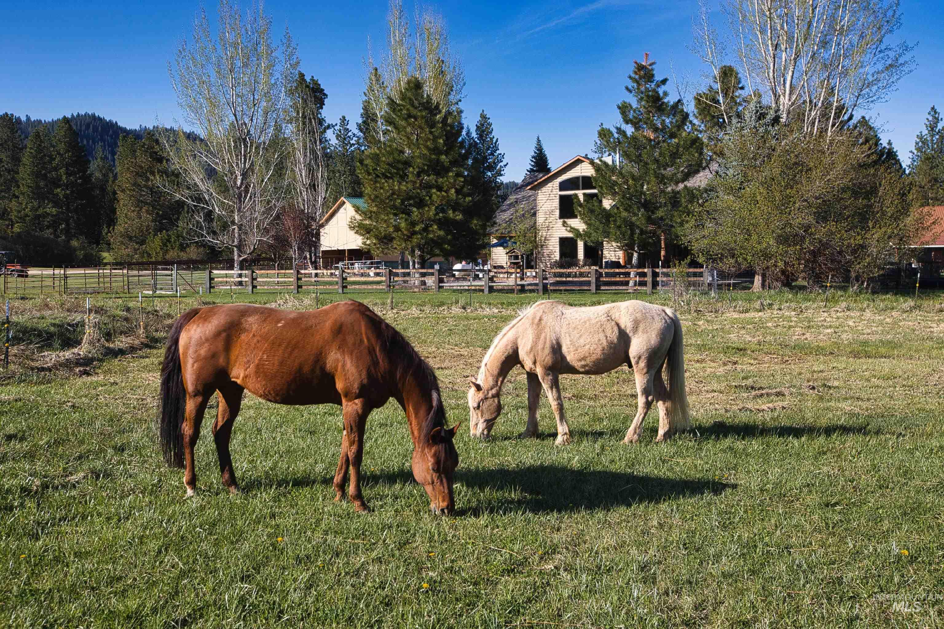 15 Skyline Lane, Garden Valley, Idaho 83622, 3 Bedrooms, 3 Bathrooms, Residential For Sale, Price $995,000, 98946053
