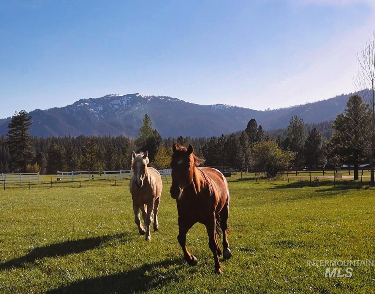 15 Skyline Lane, Garden Valley, Idaho 83622, 3 Bedrooms, 3 Bathrooms, Residential For Sale, Price $995,000, 98946053