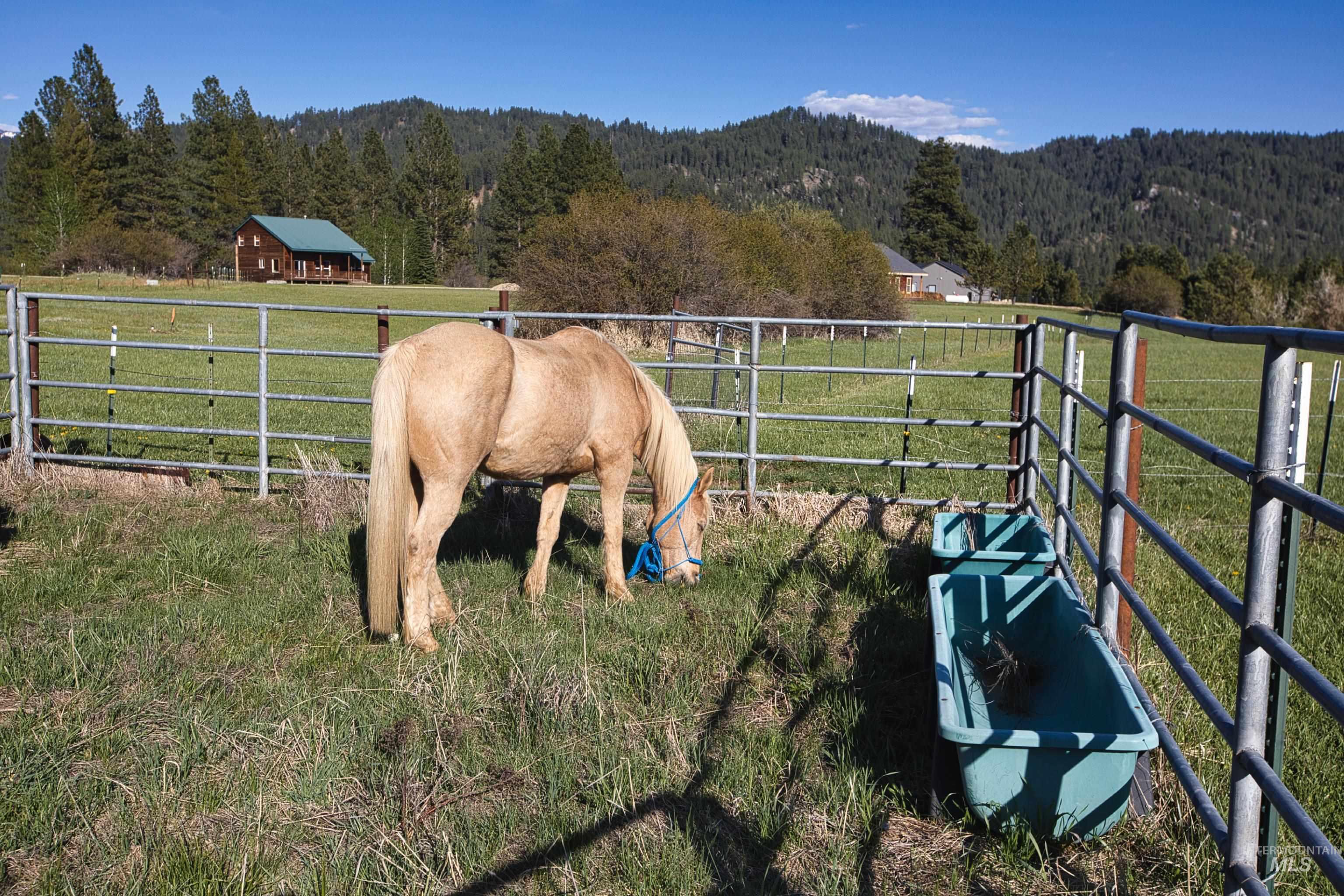 15 Skyline Lane, Garden Valley, Idaho 83622, 3 Bedrooms, 3 Bathrooms, Residential For Sale, Price $995,000, 98946053